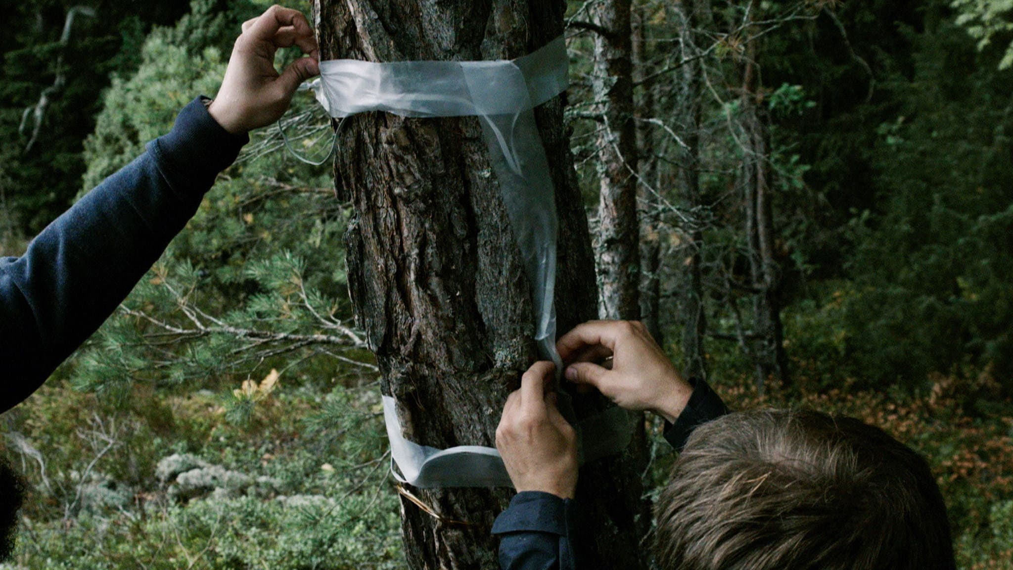 The Mirrored Message backdrop