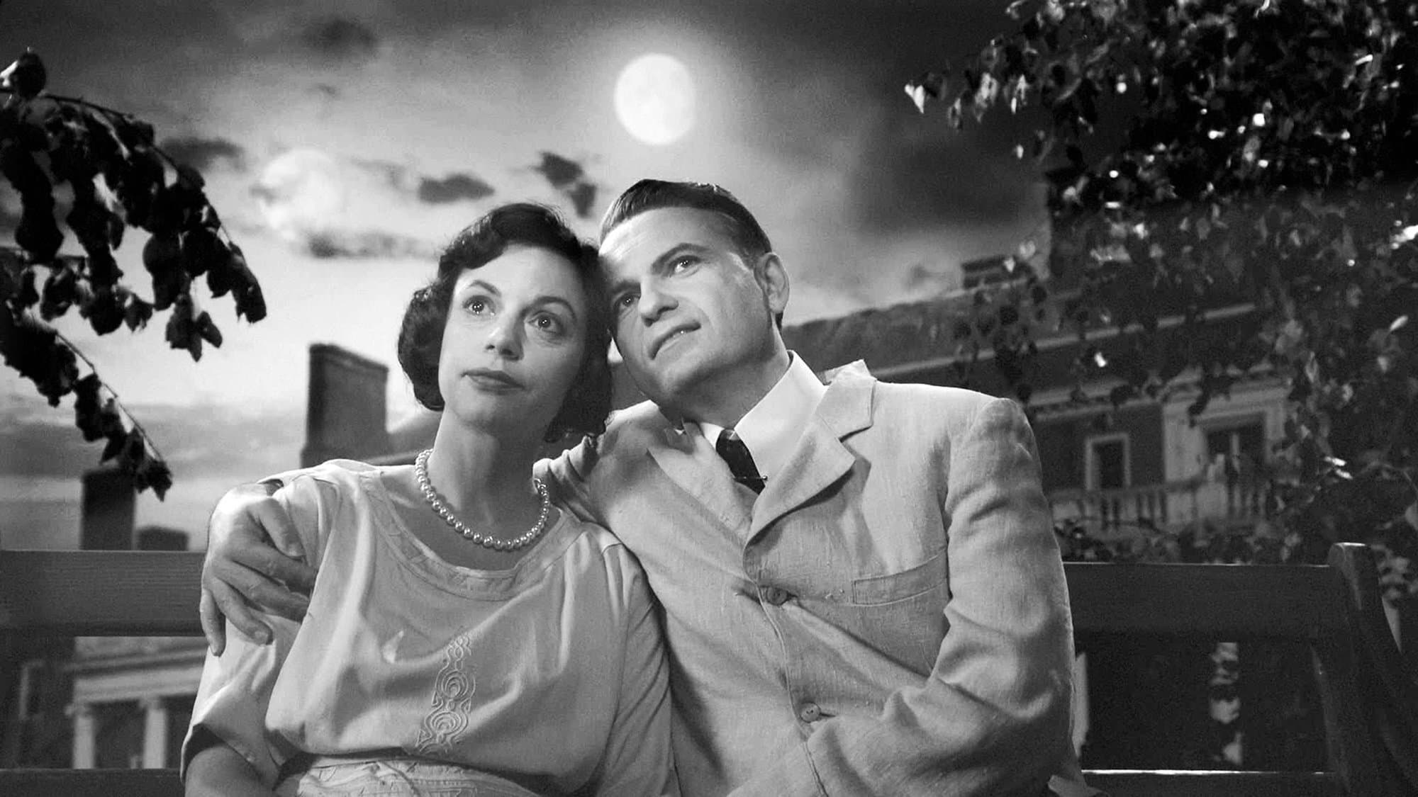 The Ponzi Scheme backdrop