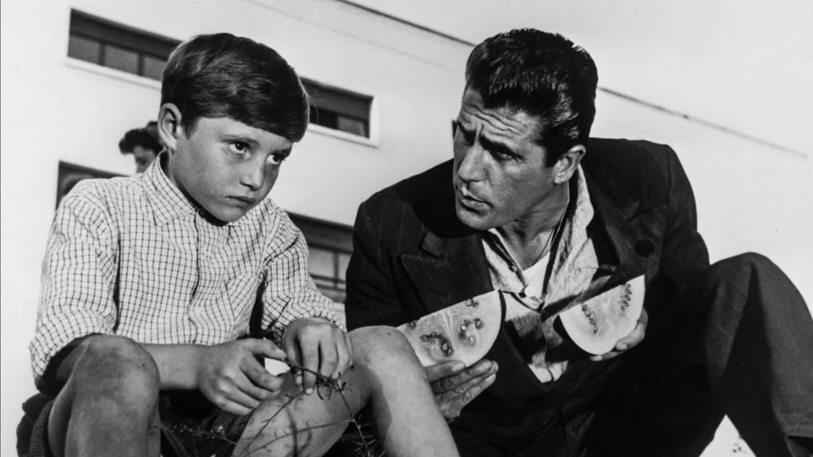 The Window to Luna Park backdrop