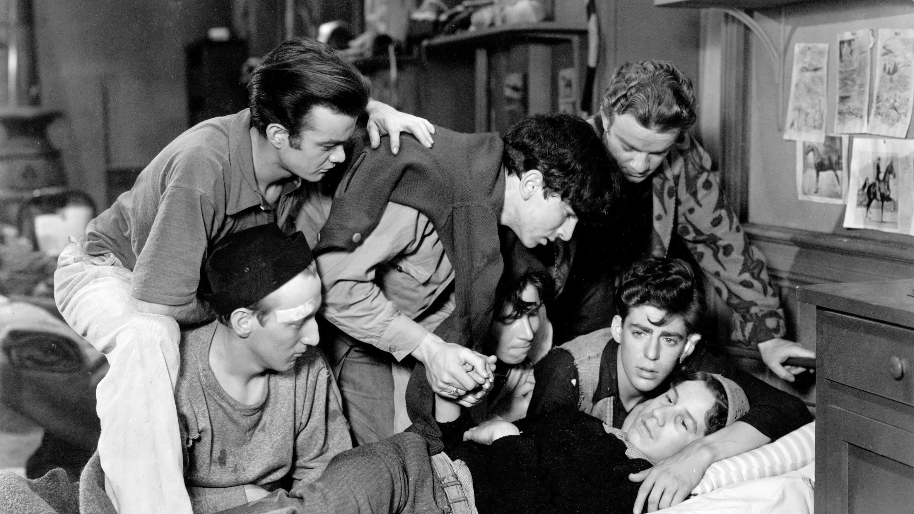 Hell's Kitchen backdrop