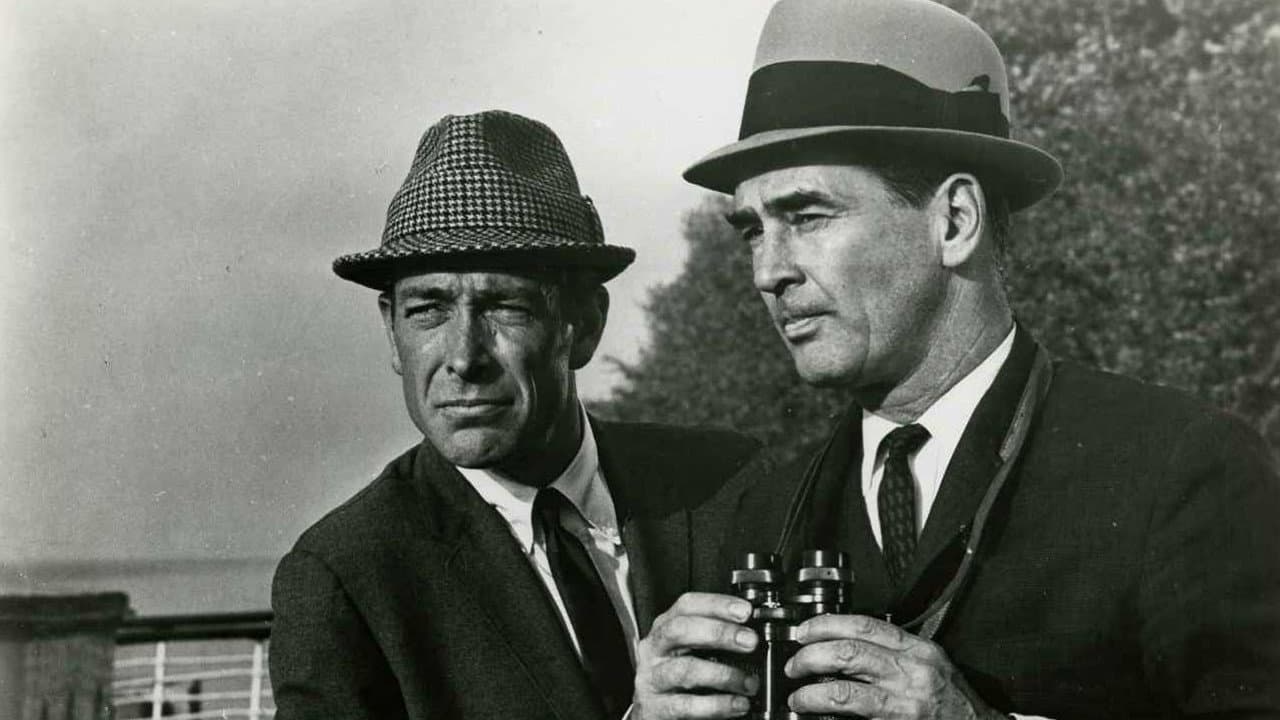 The Doctor and the Playgirl backdrop