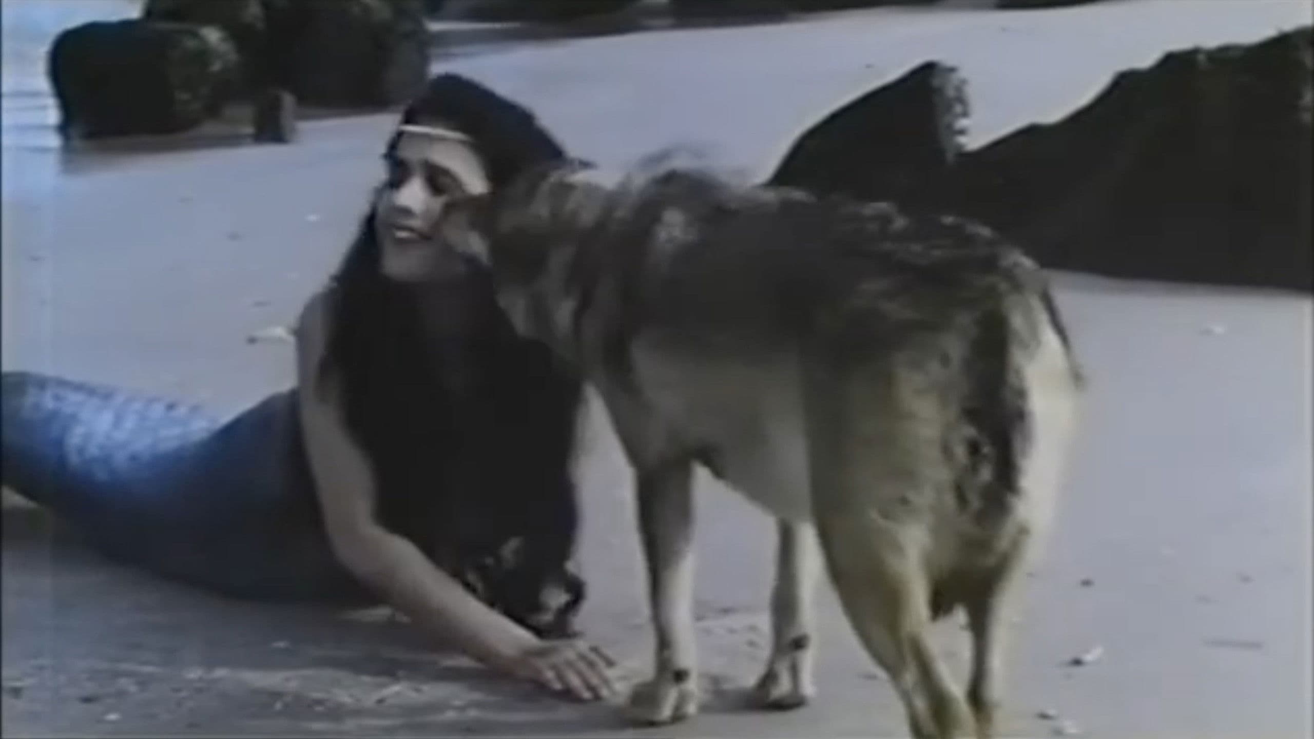 O camiño das estrelas: Galicia backdrop