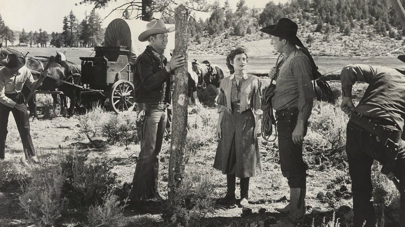 Colorado Sundown backdrop