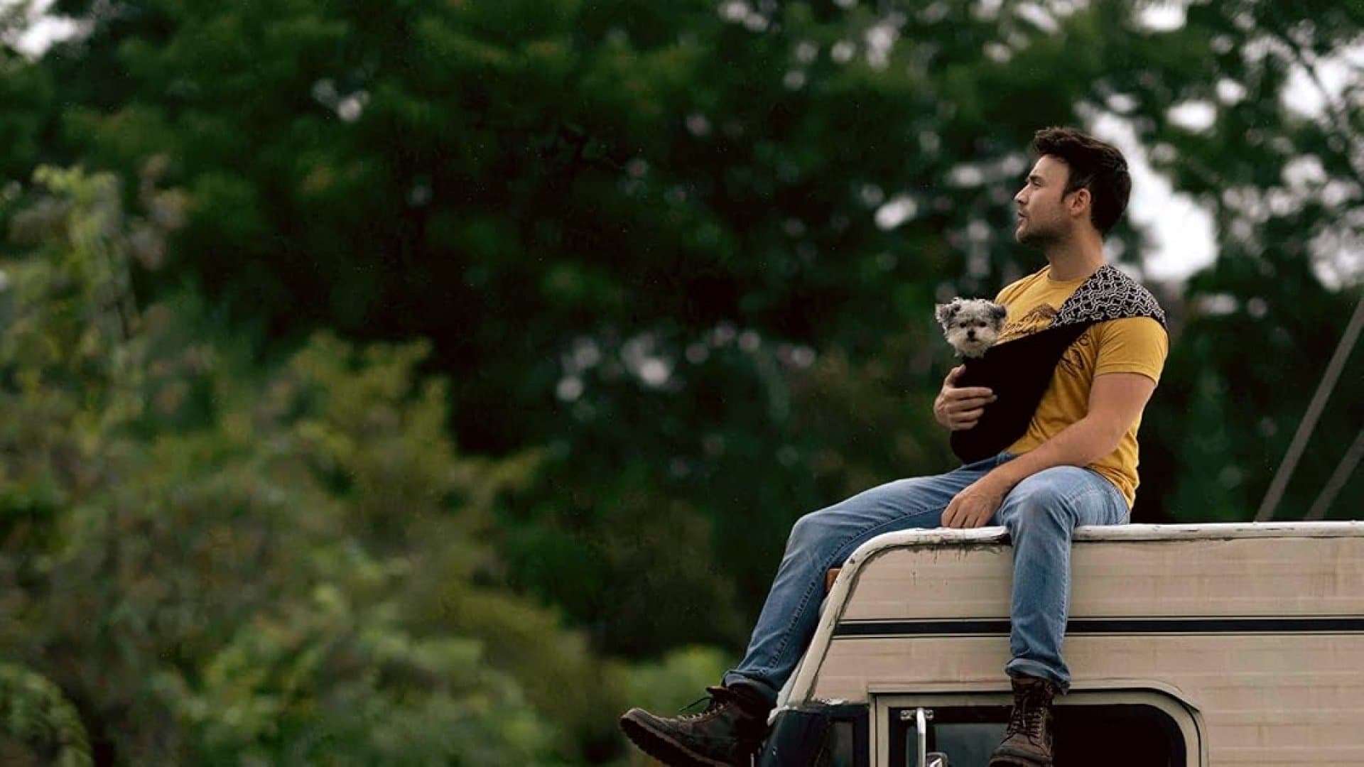 Dogs on the Sendero backdrop