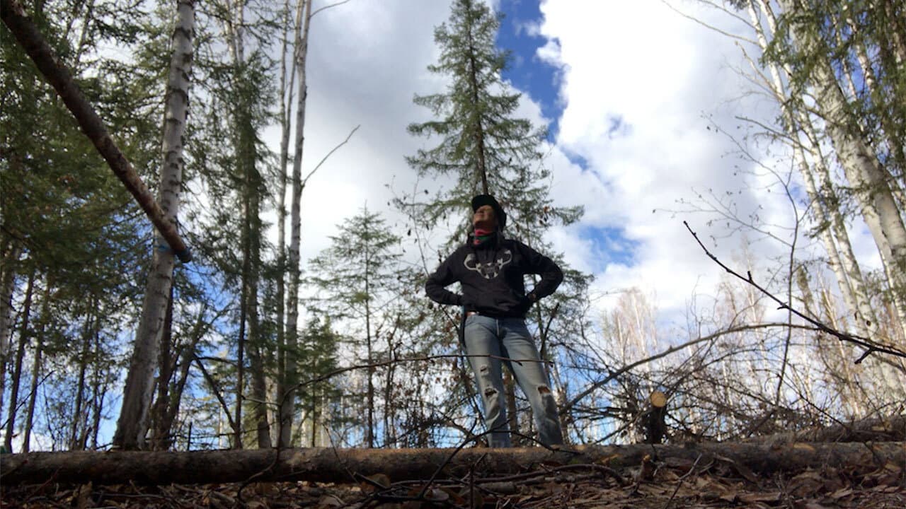 K'i Tah Amongst the Birch backdrop