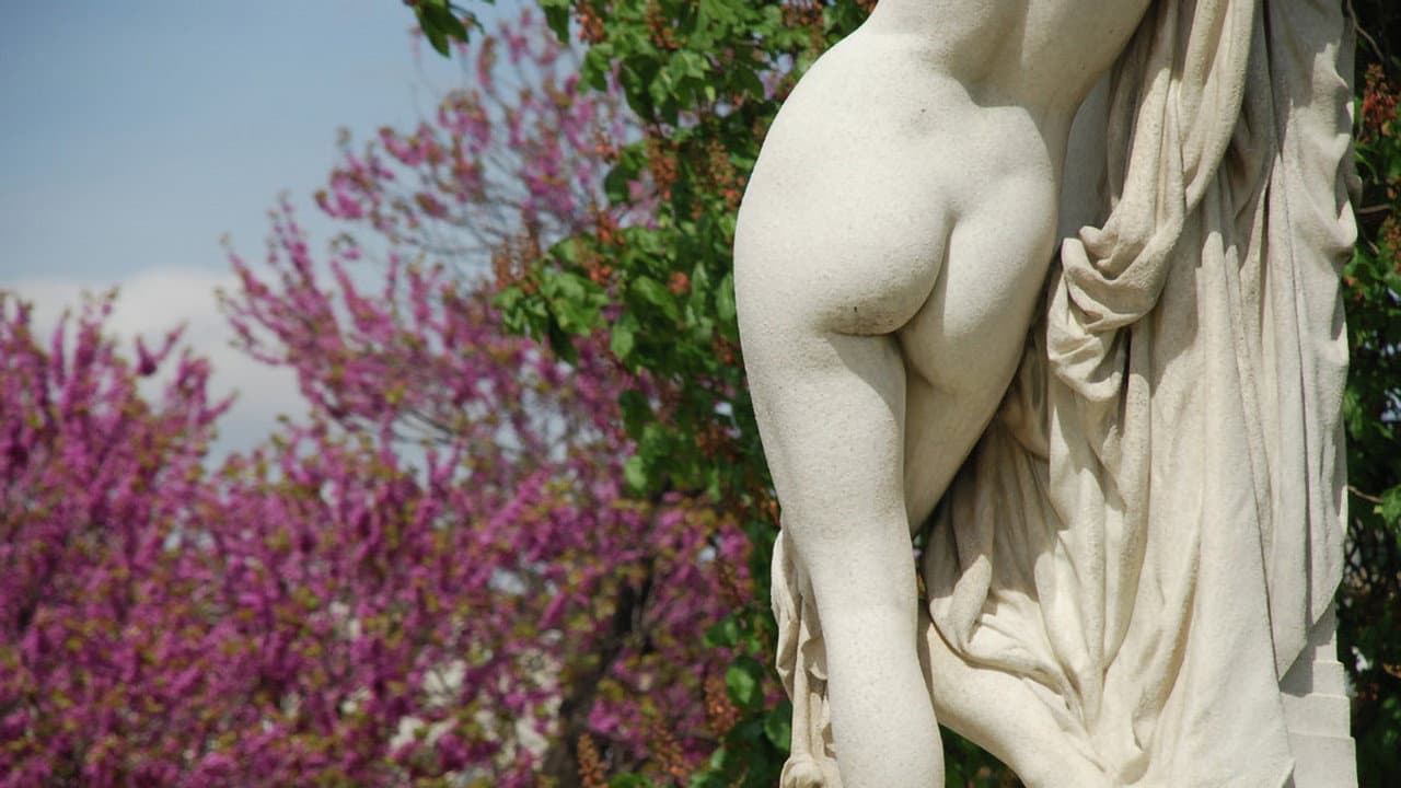 L'art du derrière, une folle histoire des fesses backdrop