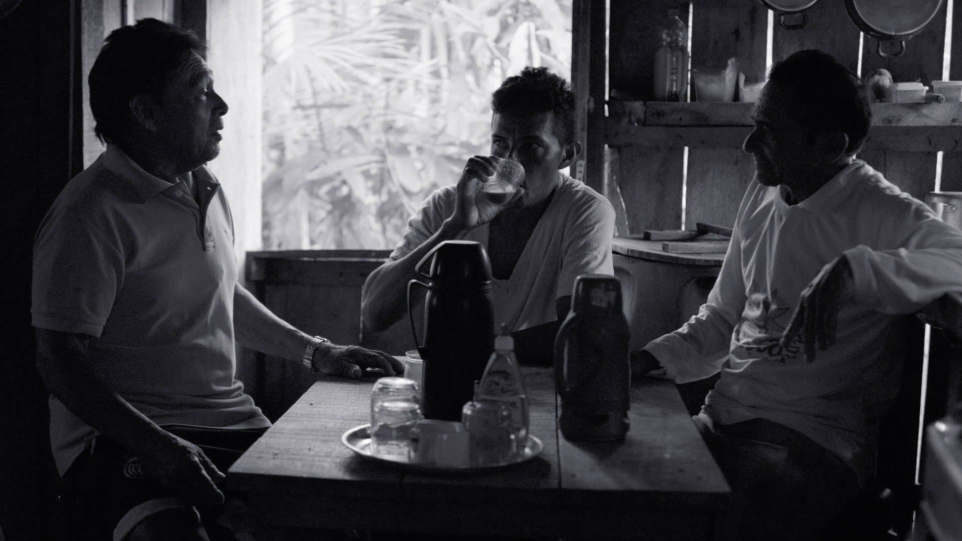 Amazon Mirror backdrop