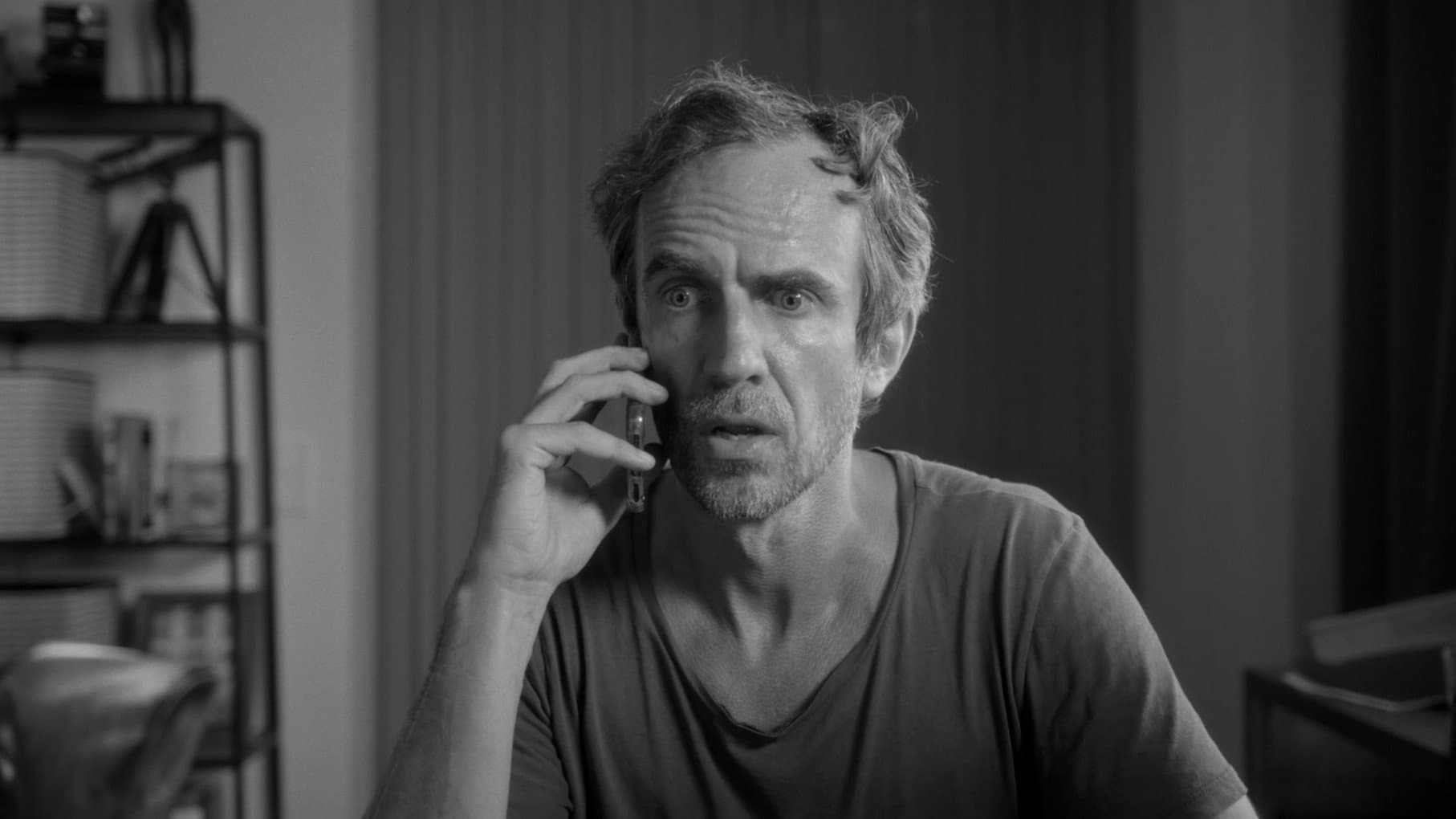 Der Katze ist das alles egal. backdrop