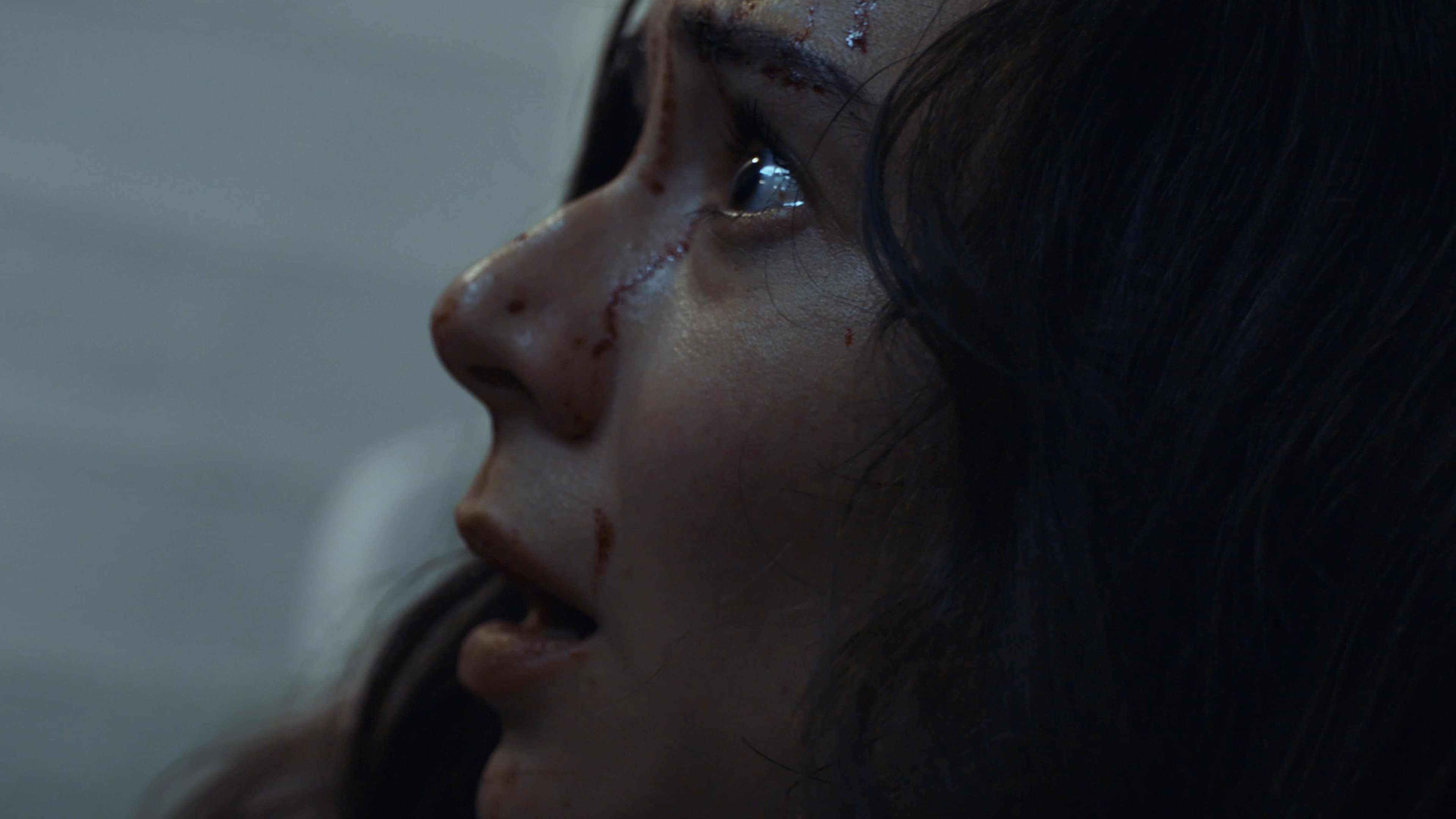 The Silhouette backdrop