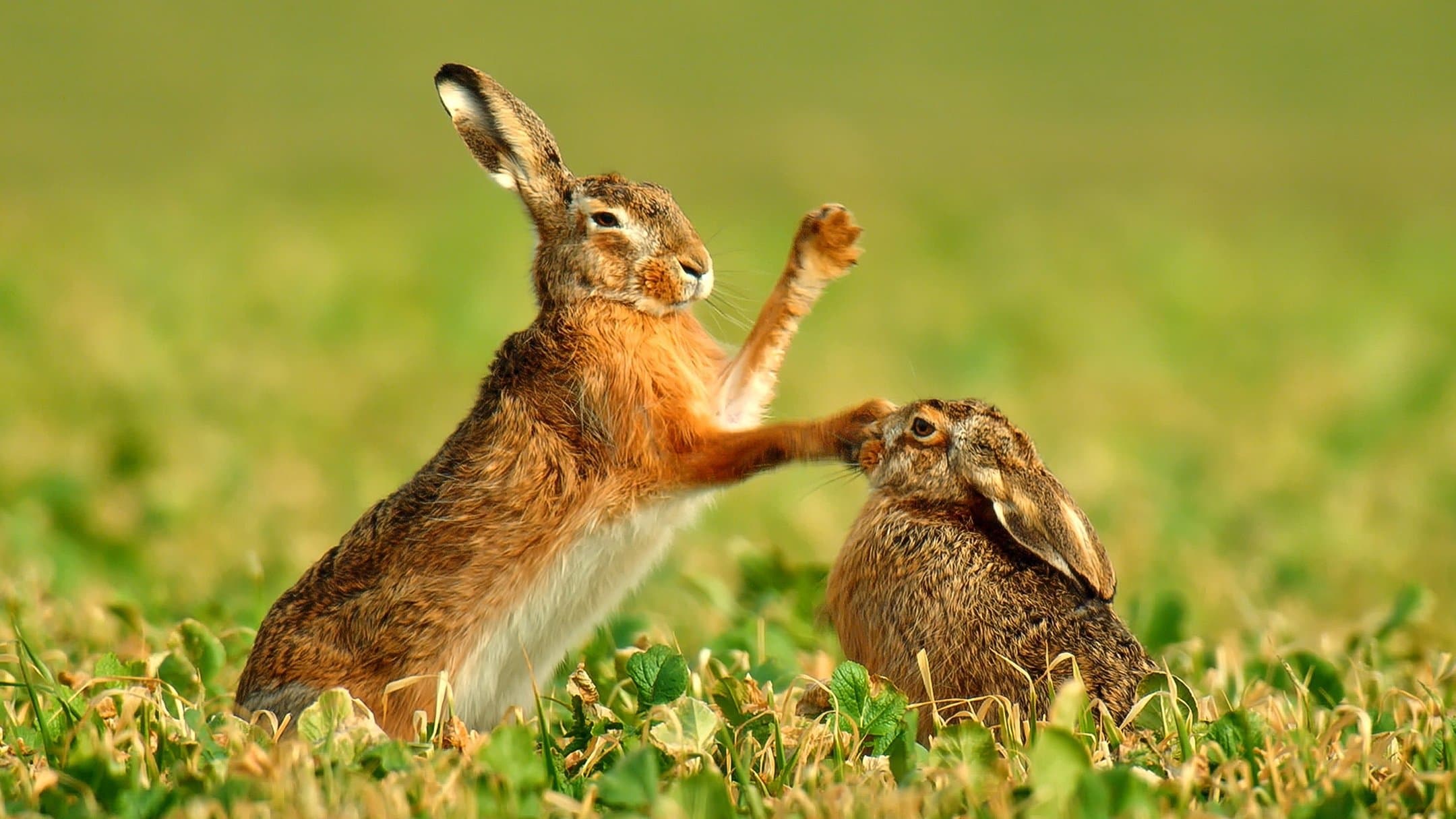 Nature's Magic Moments backdrop