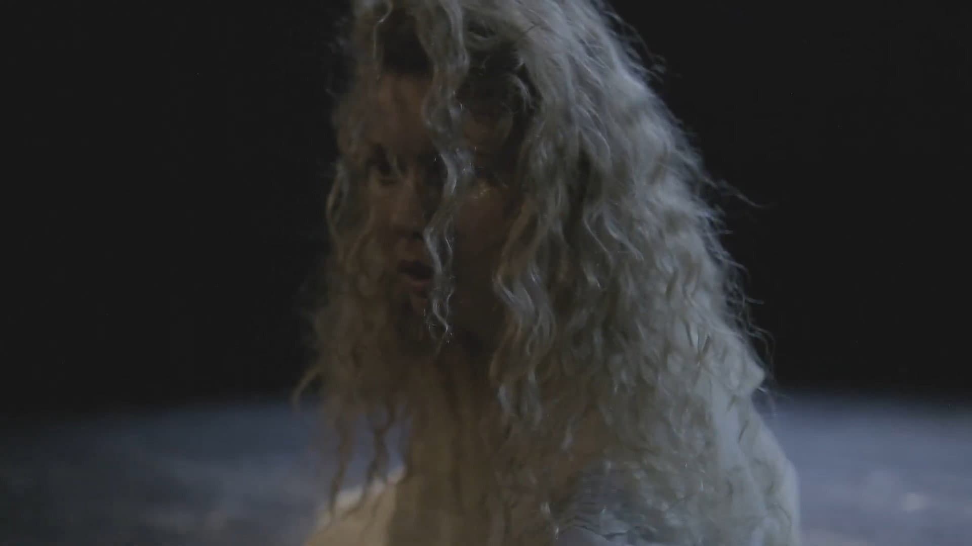 The Seagull backdrop