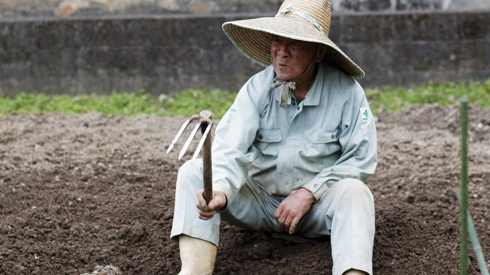 The Longevity Film backdrop