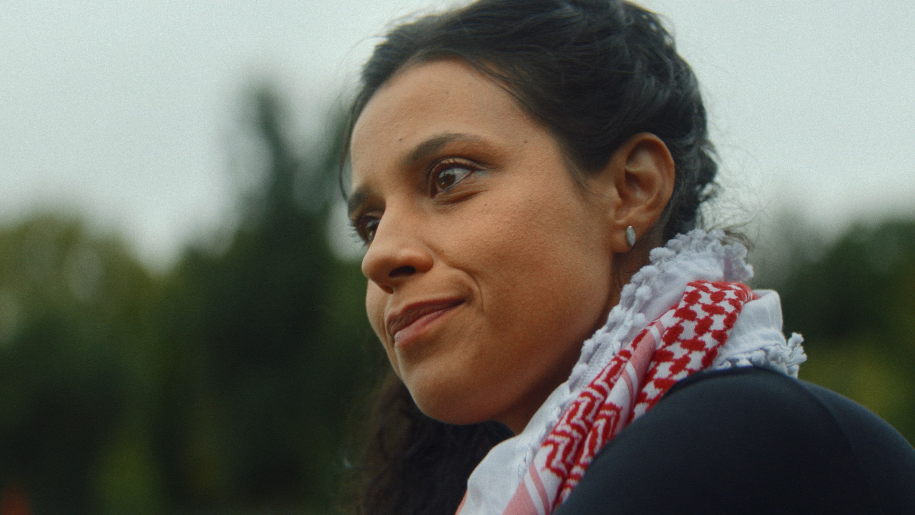 If Birds Believed in God backdrop