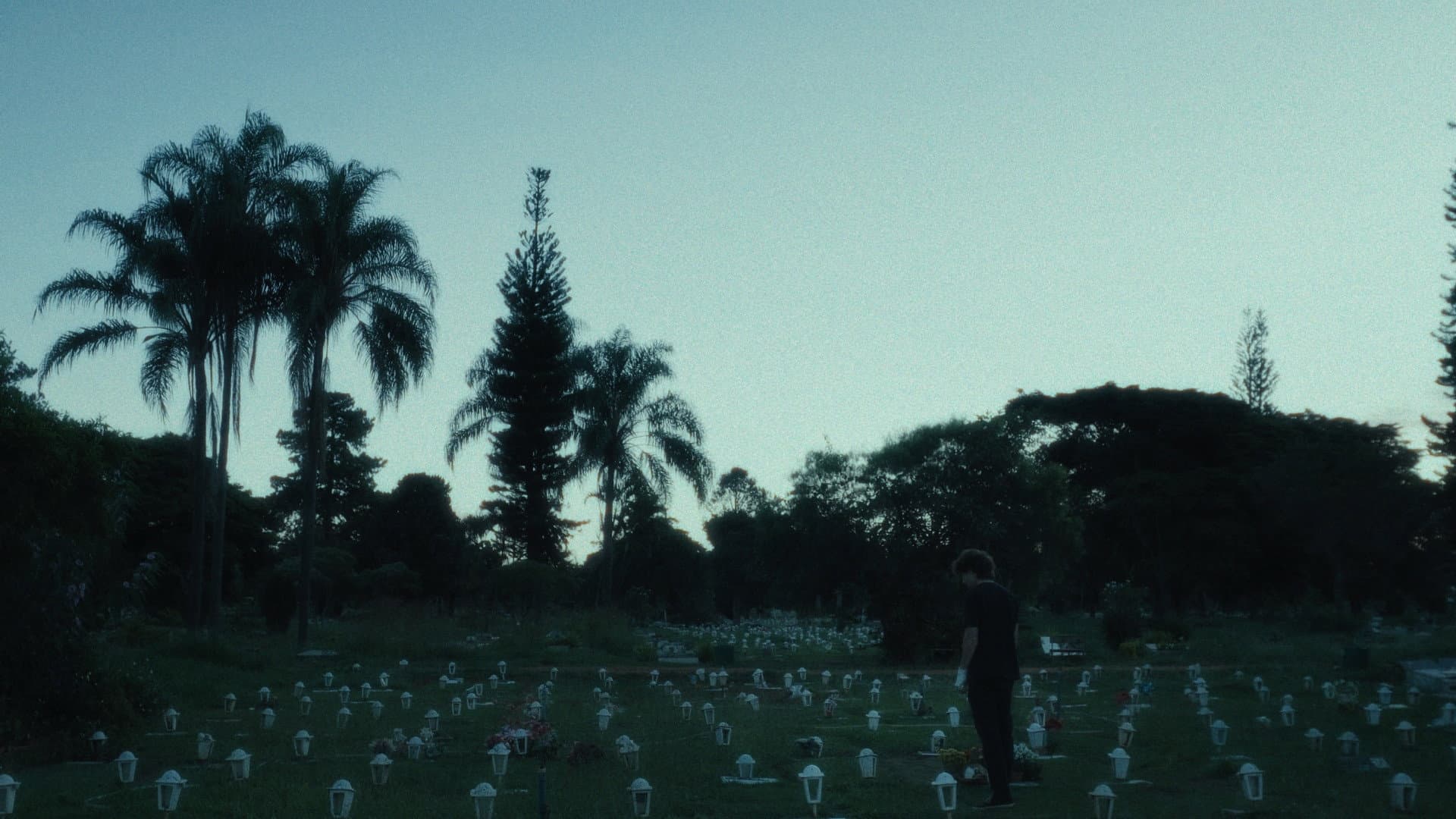 Lágrimas Holandesas backdrop