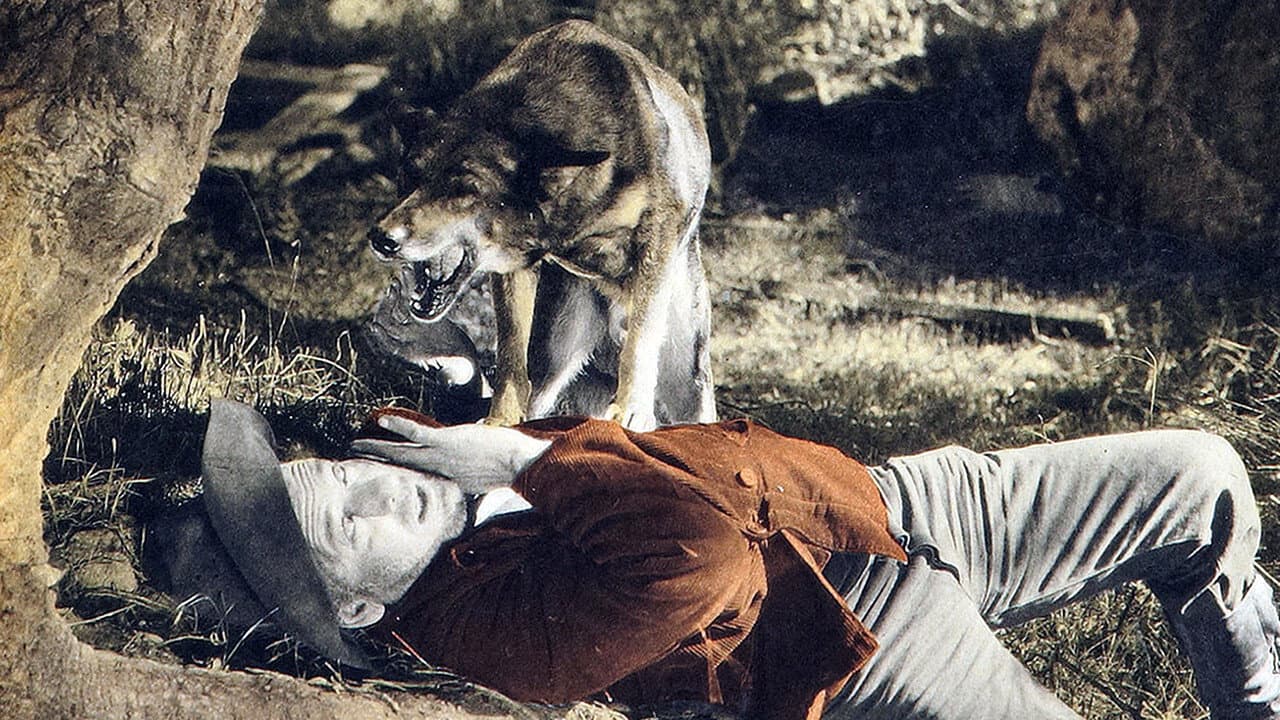 Hills of Kentucky backdrop