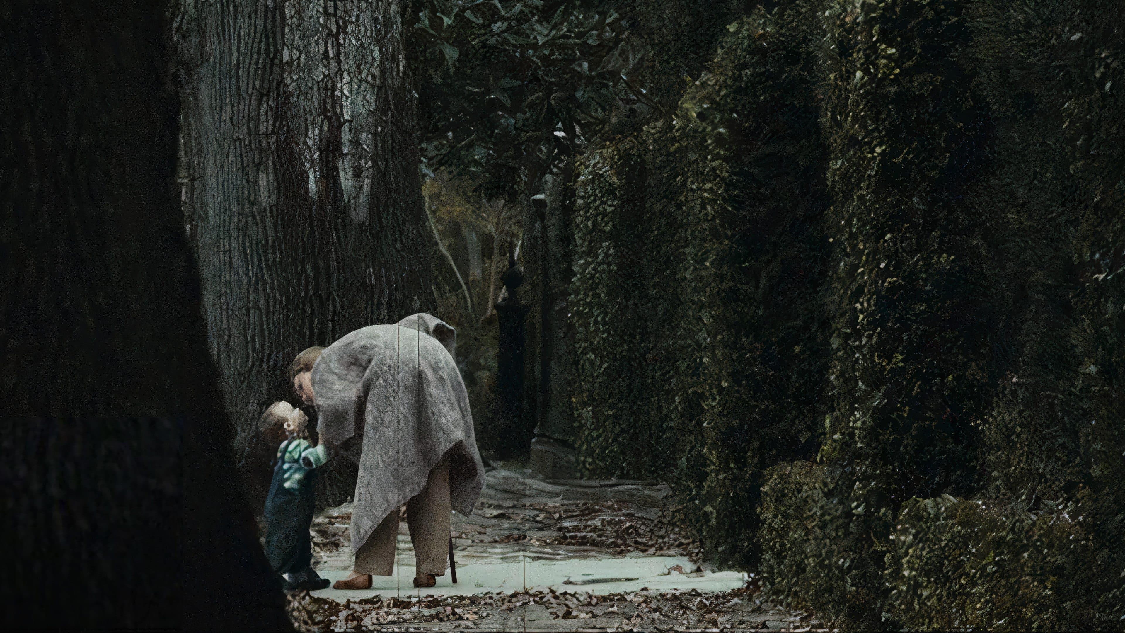 The Curious Birth of Benjamin Button backdrop