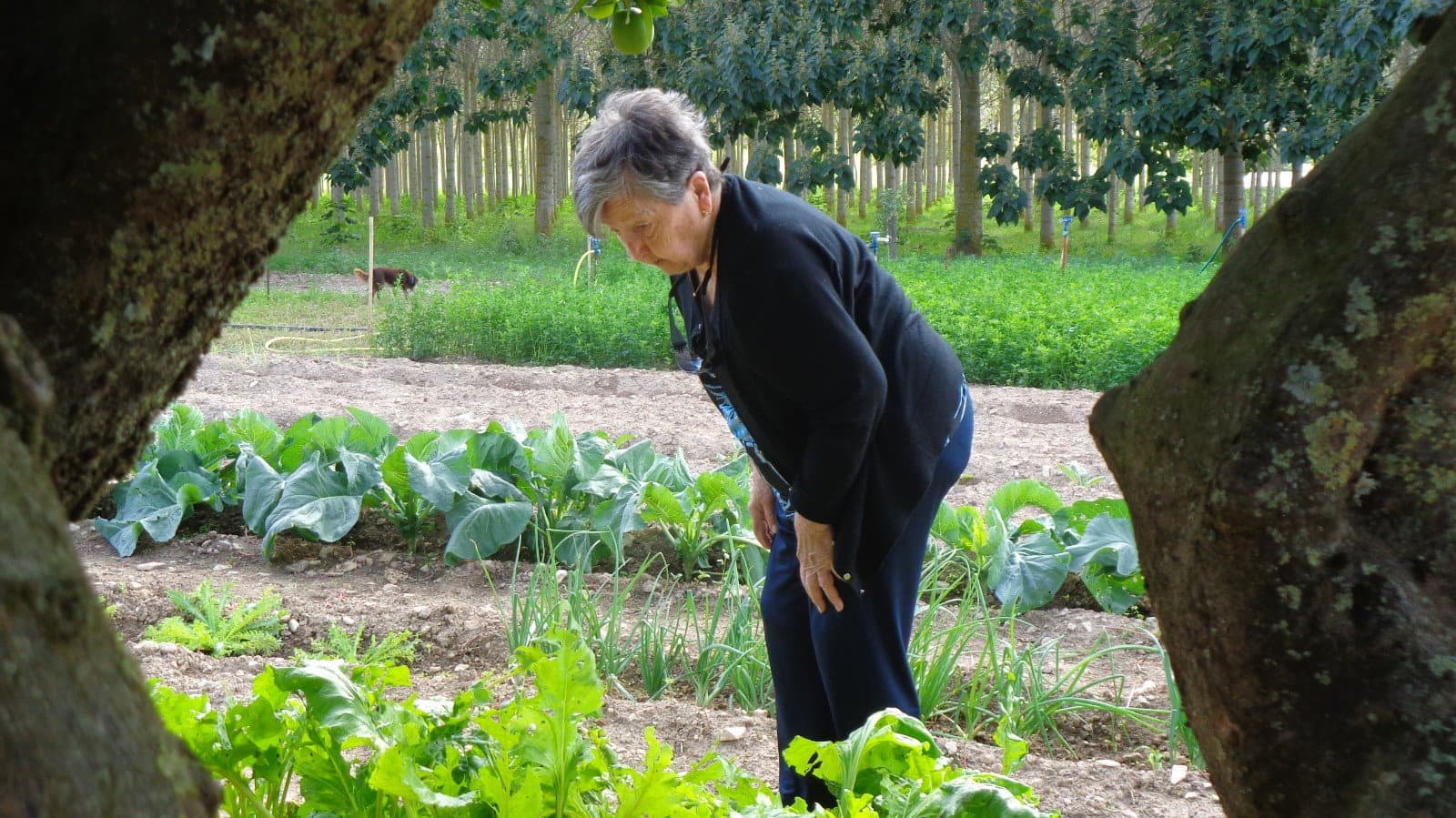 De tros en tros backdrop