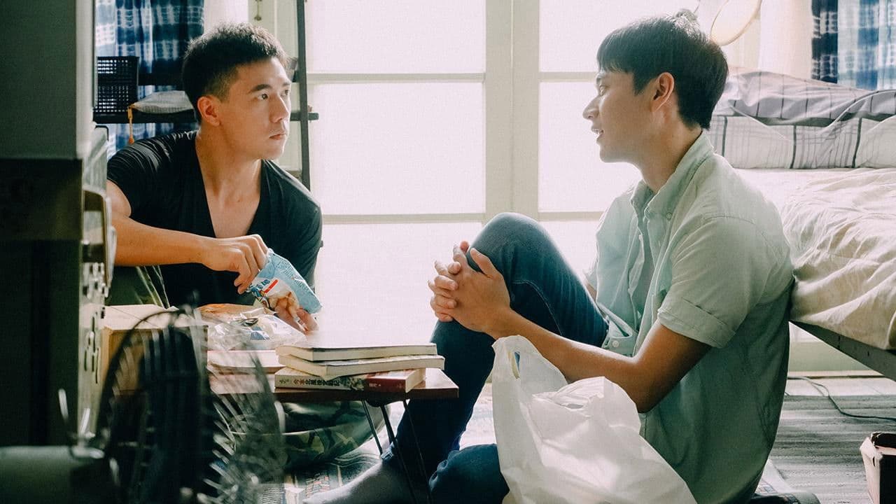 Shiba San and Meow Chan backdrop