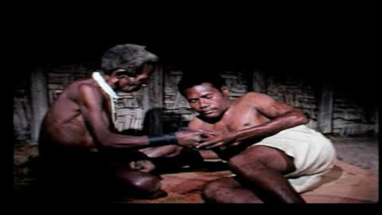 Tonten's Journey backdrop