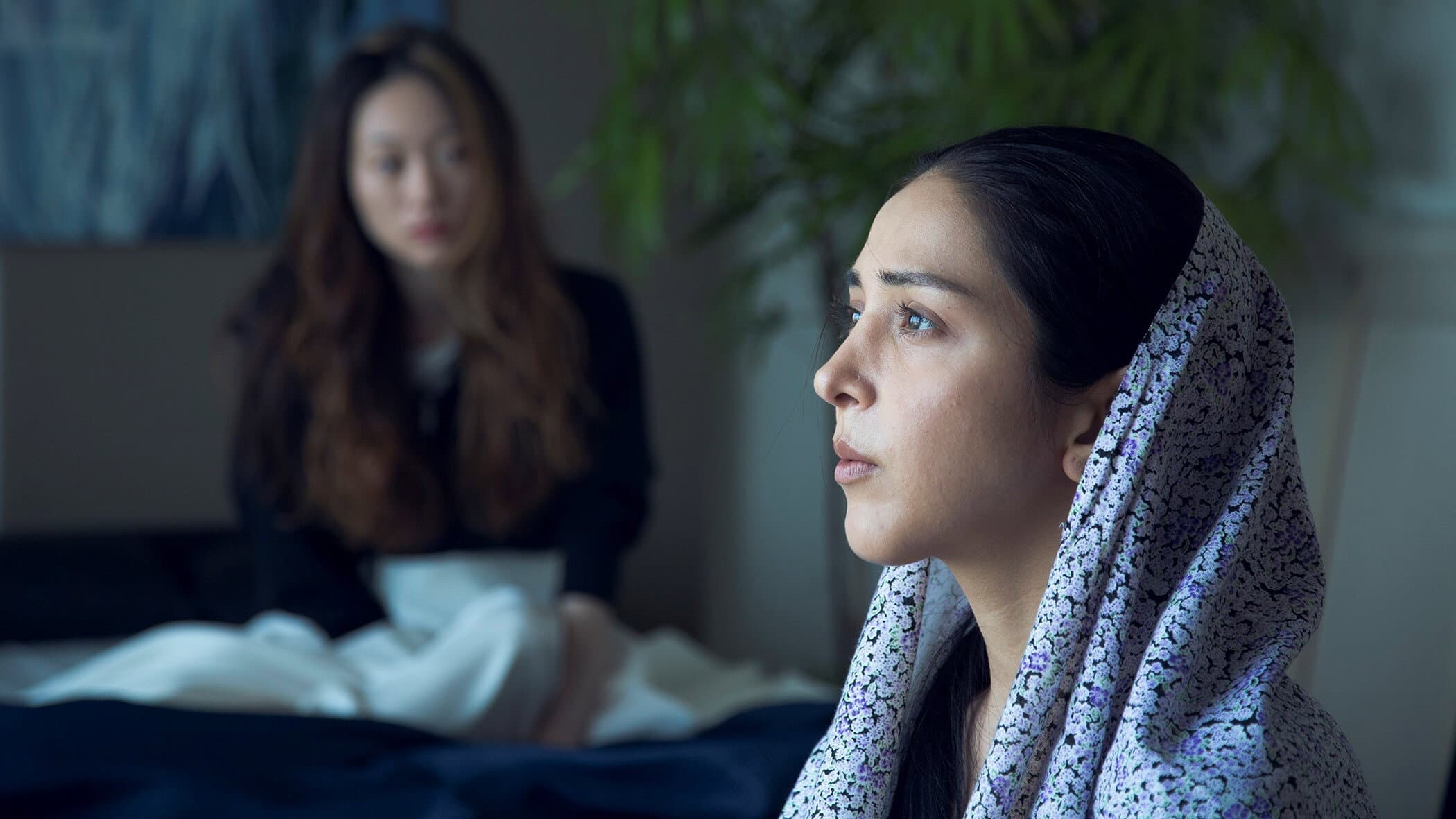 West North West backdrop