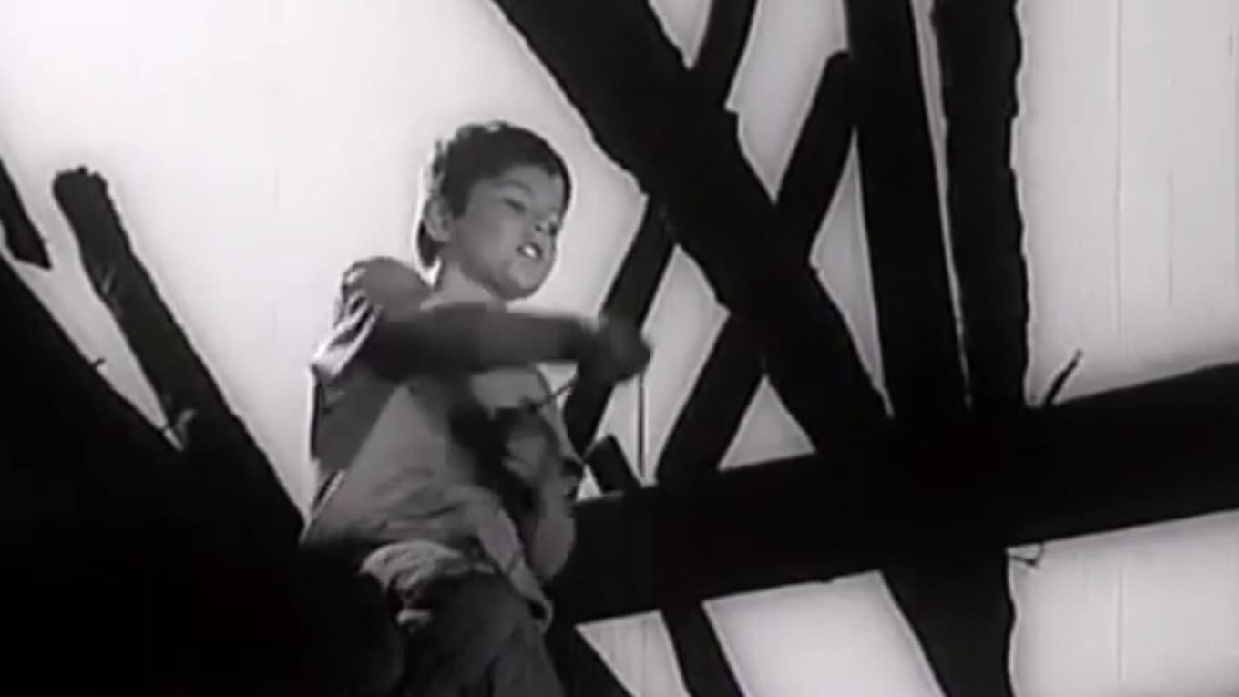 War Mornings backdrop