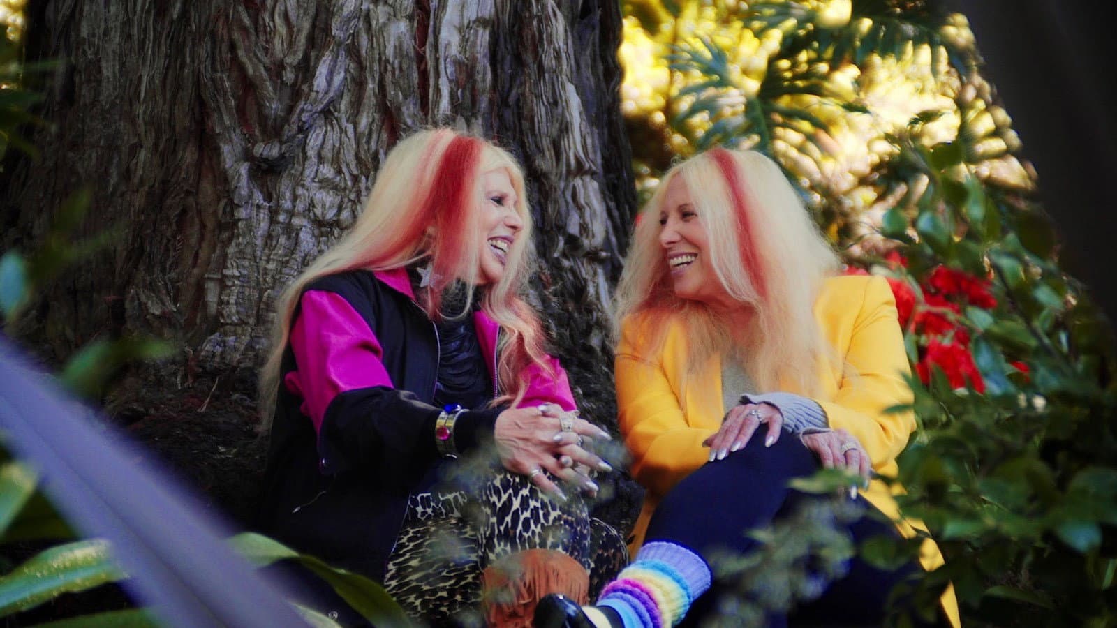 The Starr Sisters backdrop