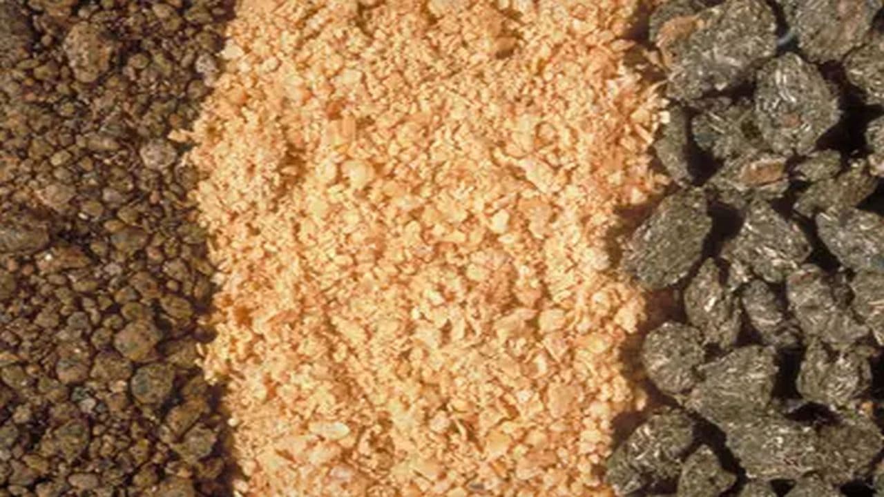 Sacrifice paysan backdrop