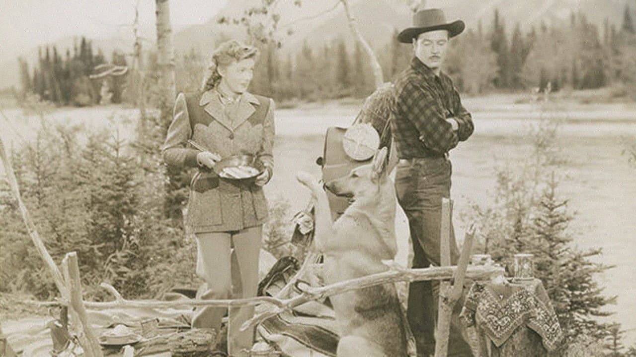 Northwest Stampede backdrop