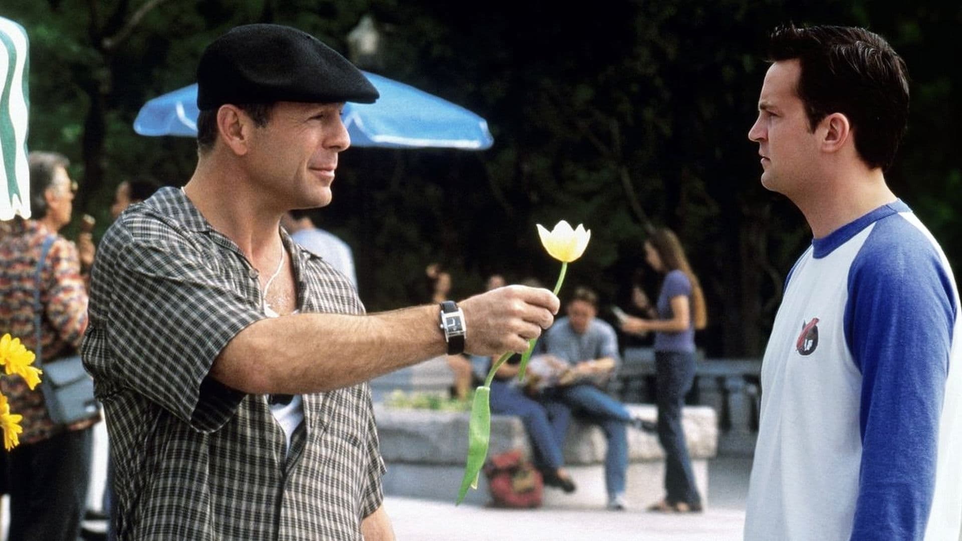 The Whole Nine Yards backdrop