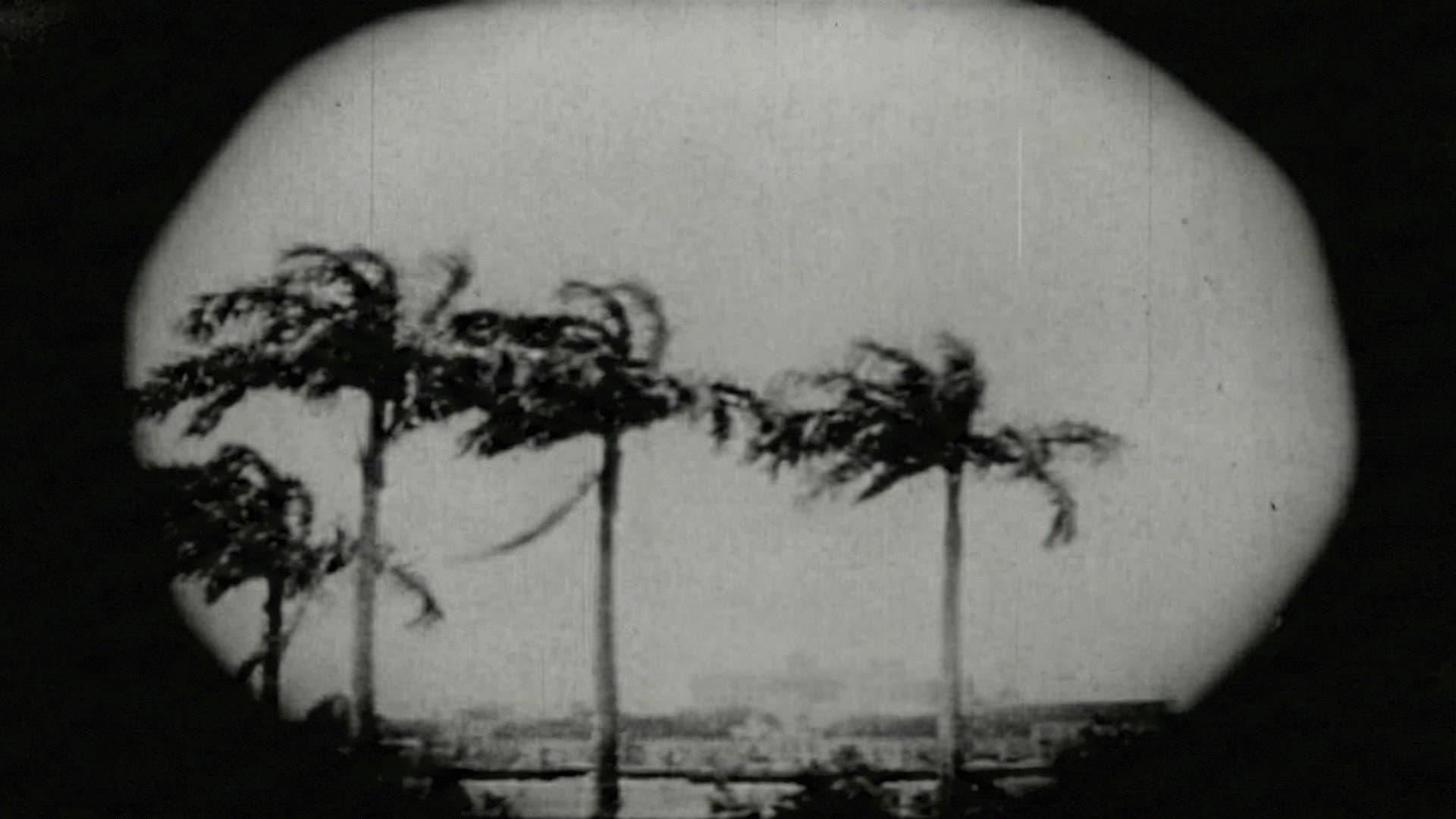 Recife no Centenário da Confederação do Equador backdrop