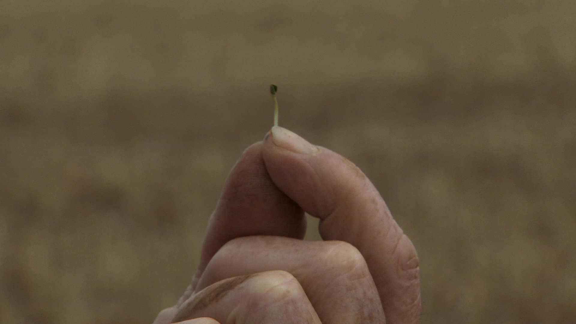 Without Water backdrop