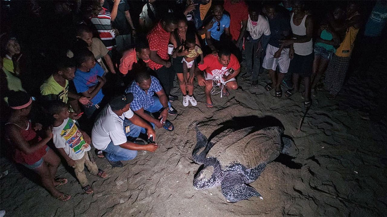 Cacu: A Change for Life backdrop