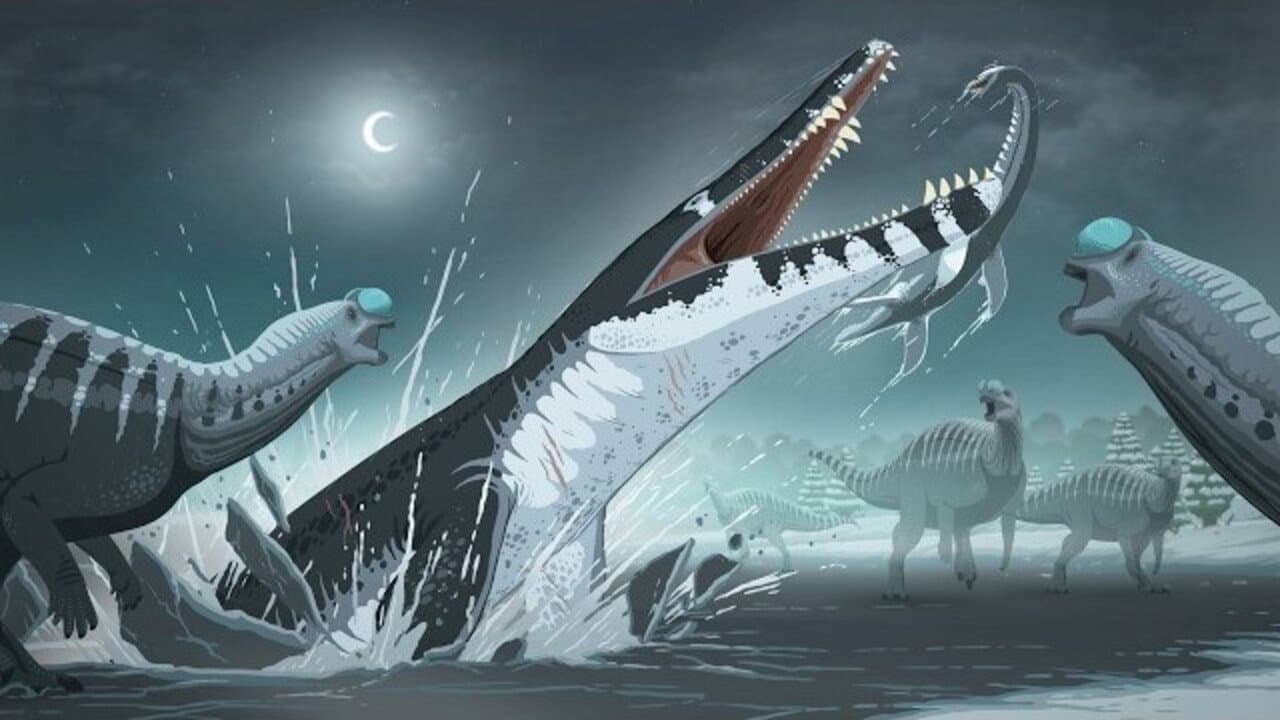 Monsters Down Under backdrop