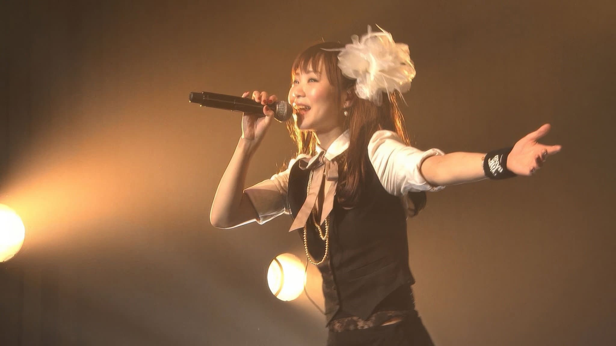 Falcom jdk BAND 2013 New Year Live in NIHONBASHI MITSUI HALL backdrop