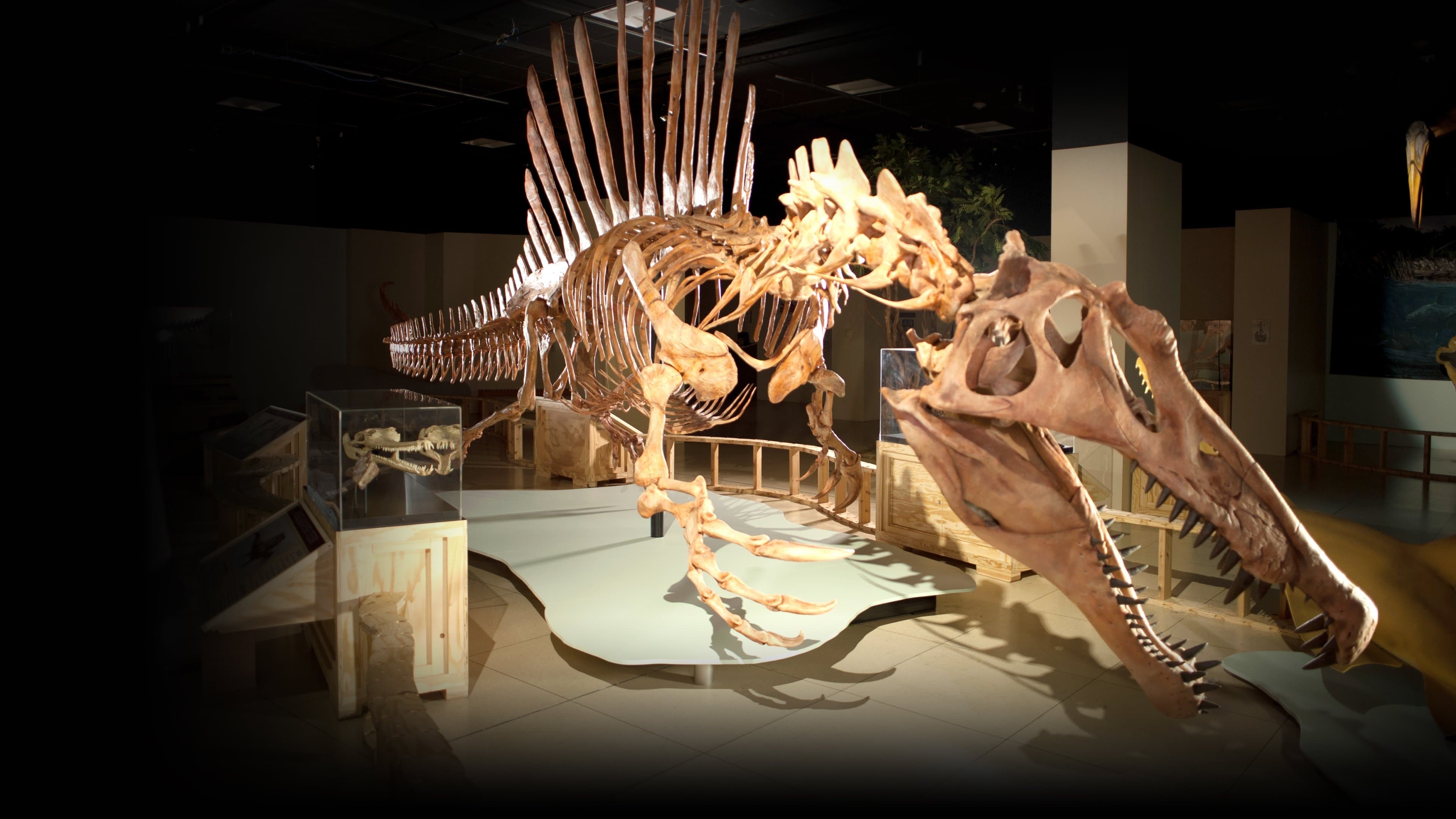 Top 10 Biggest Beasts Ever backdrop