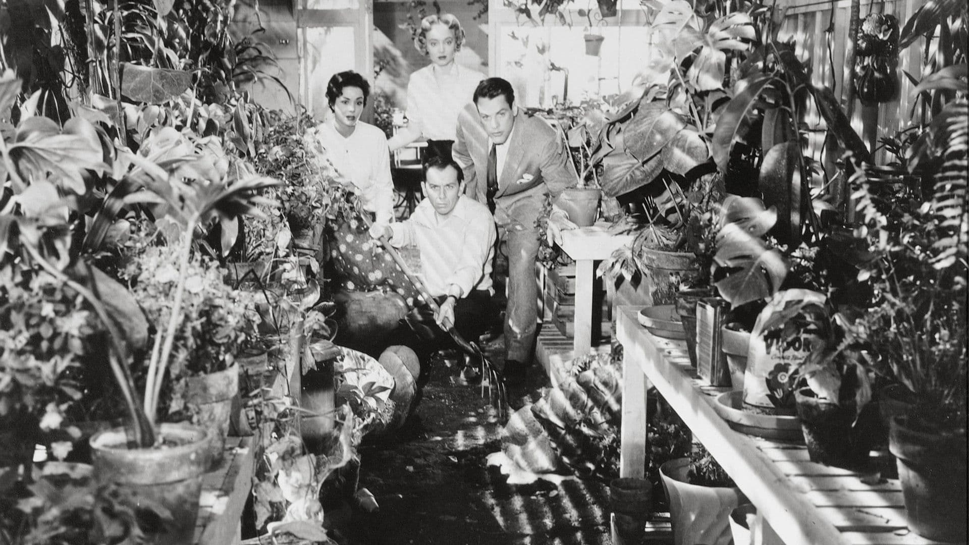 Invasion of the Body Snatchers backdrop