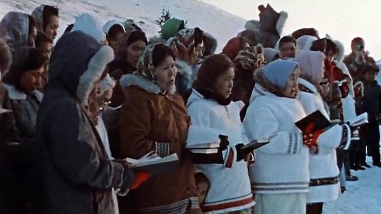 Labrador North backdrop