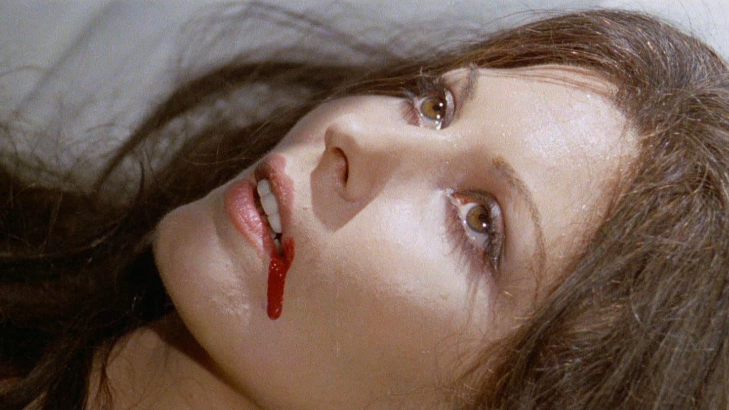 All the Colours of the Dark backdrop