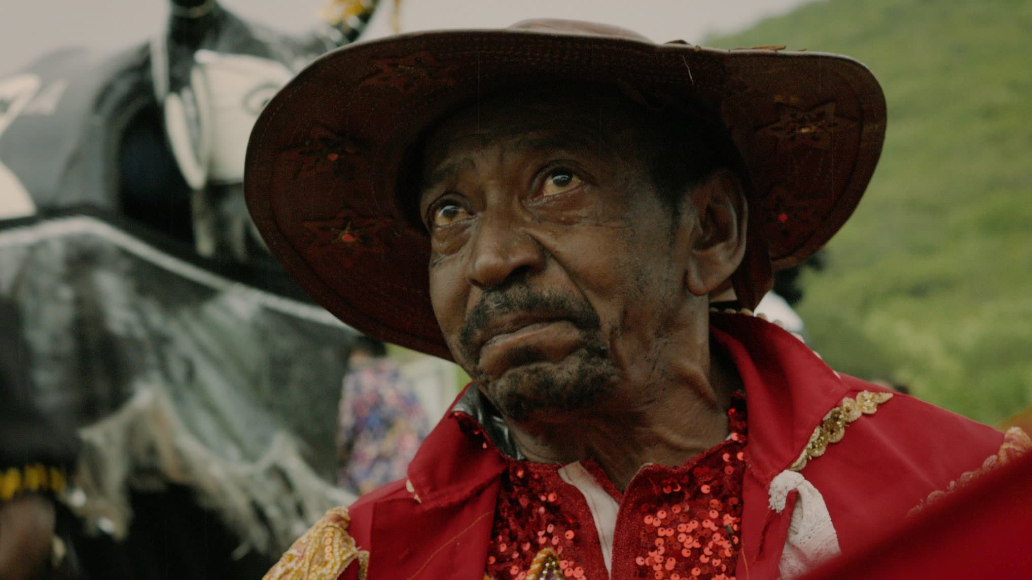 O Carnaval é de Pelé backdrop