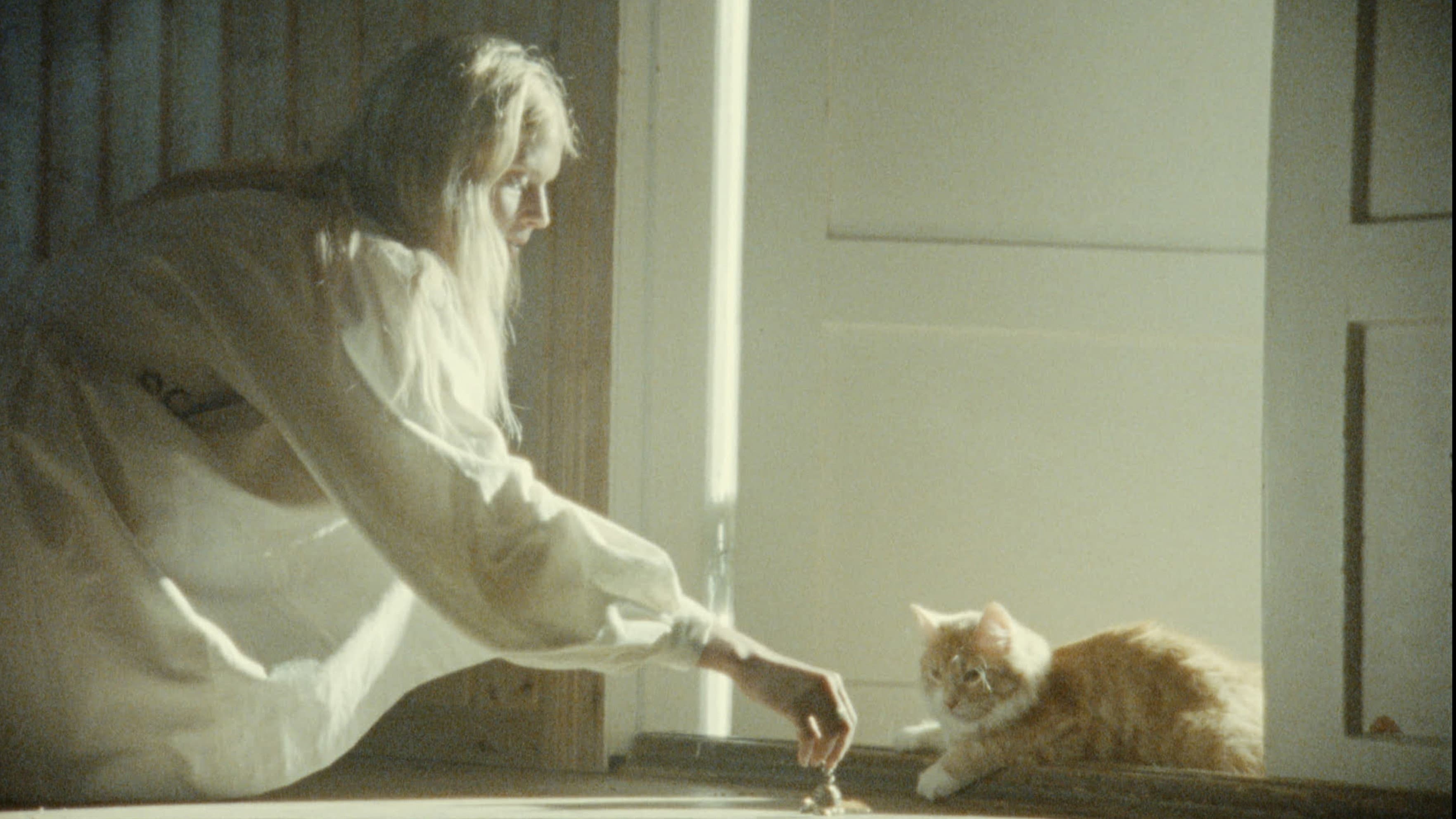 Keskiyön auringosta ikuisuuteen backdrop