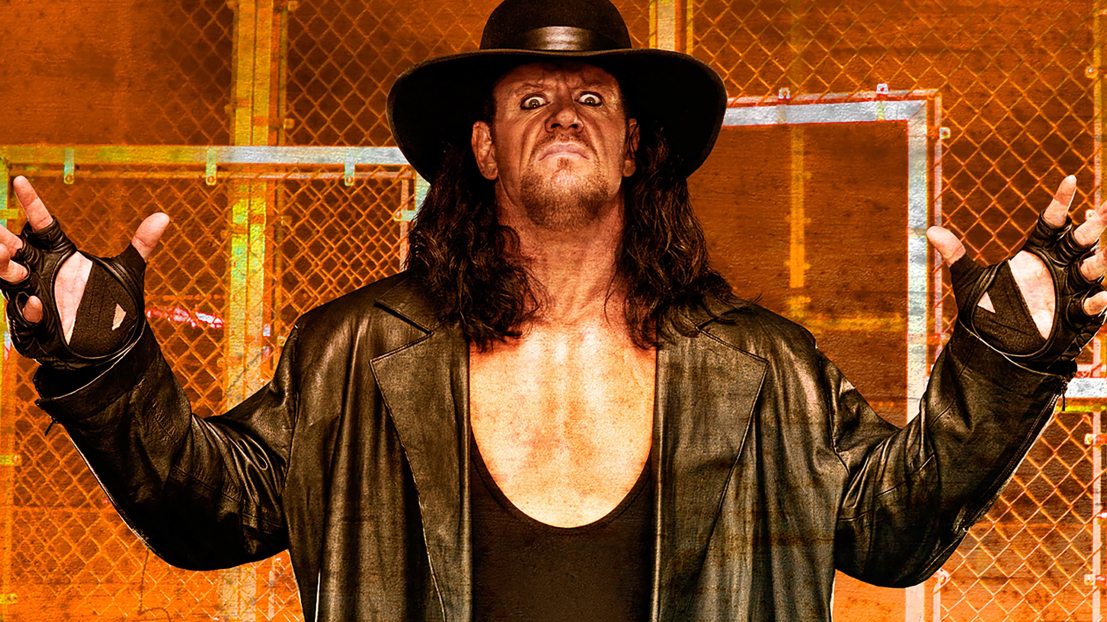 WWE Hell in a Cell 2009 backdrop