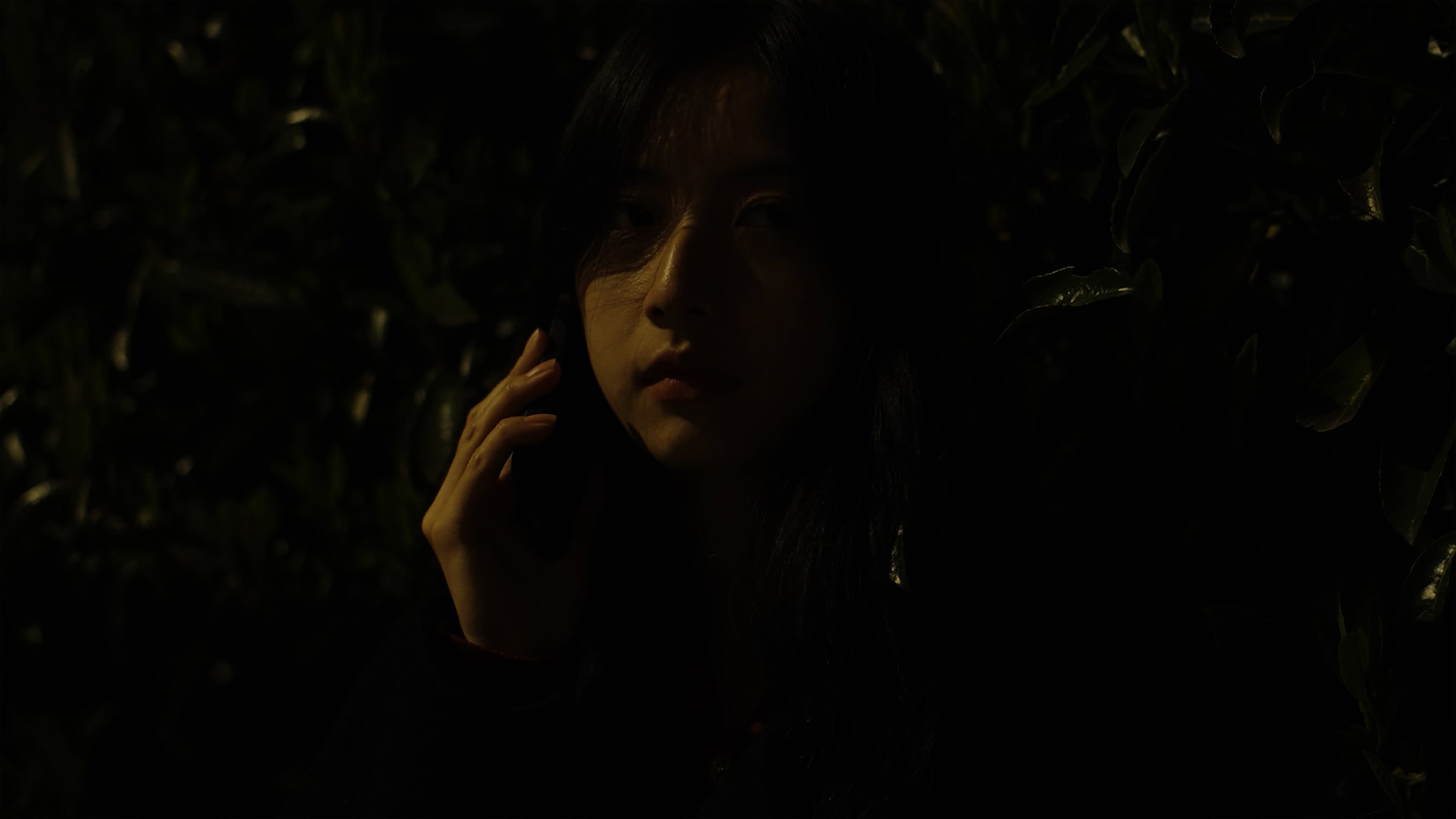 A New Novel backdrop