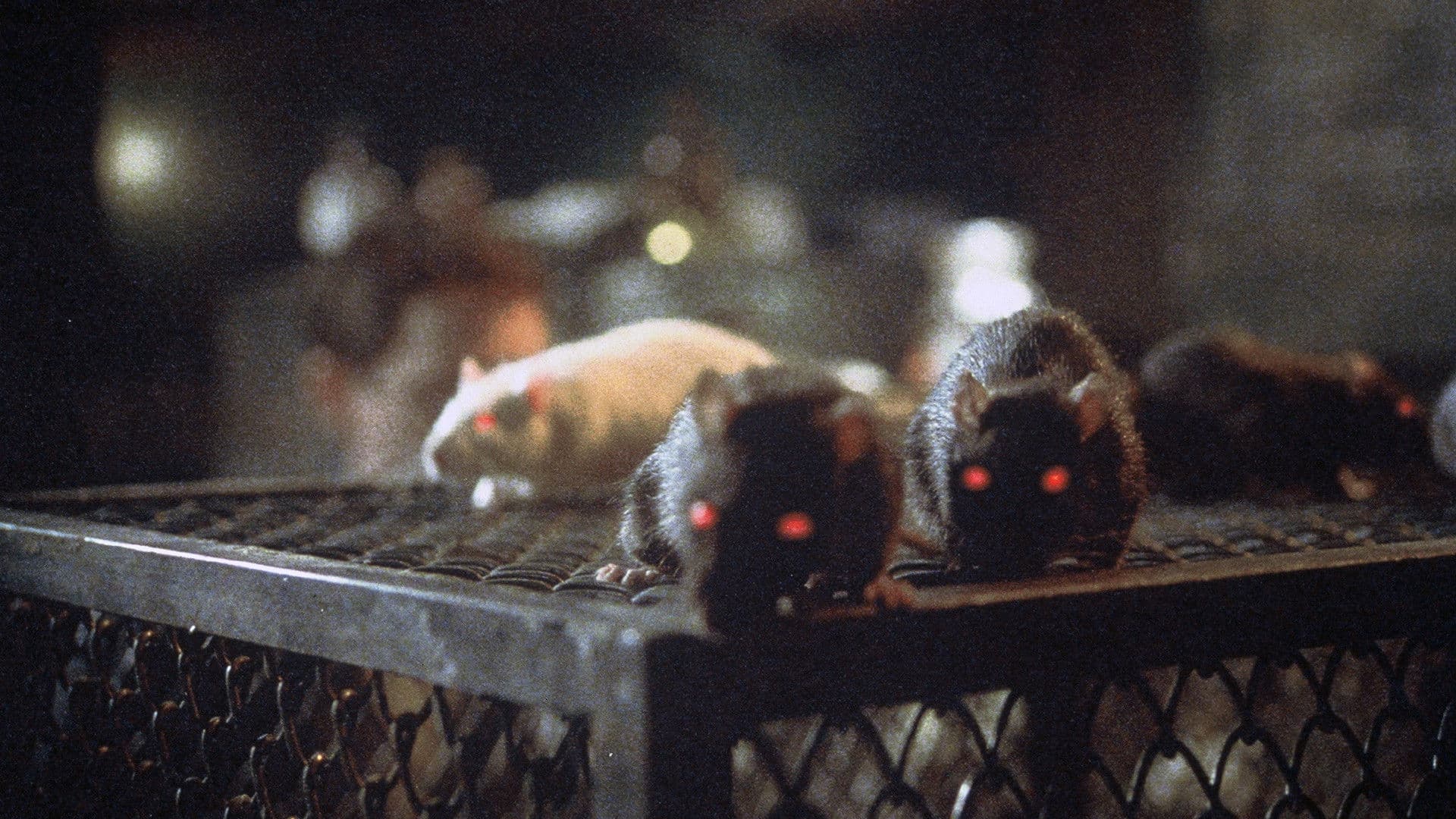 Rats: Night of Terror backdrop