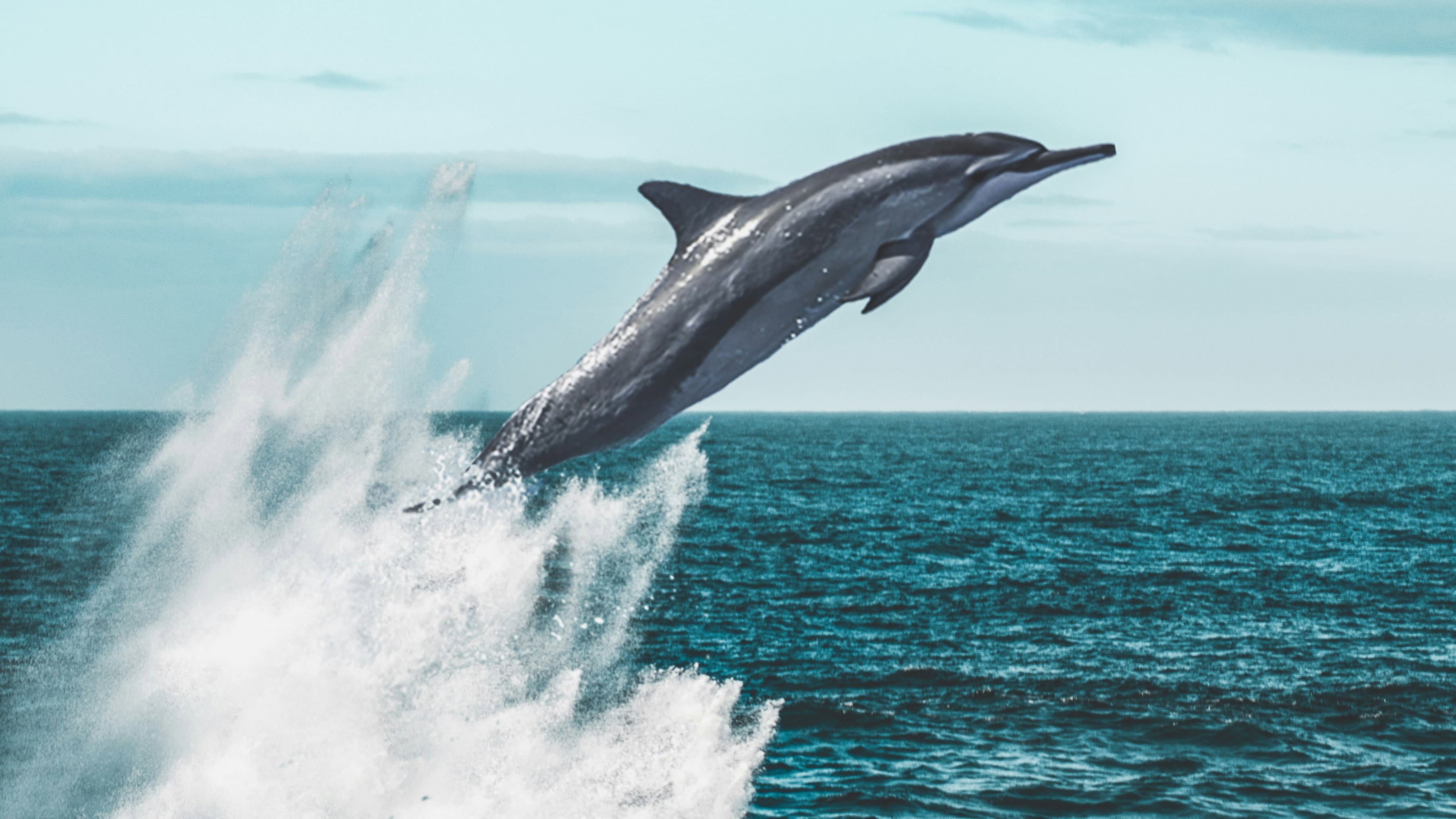 Living Waters backdrop