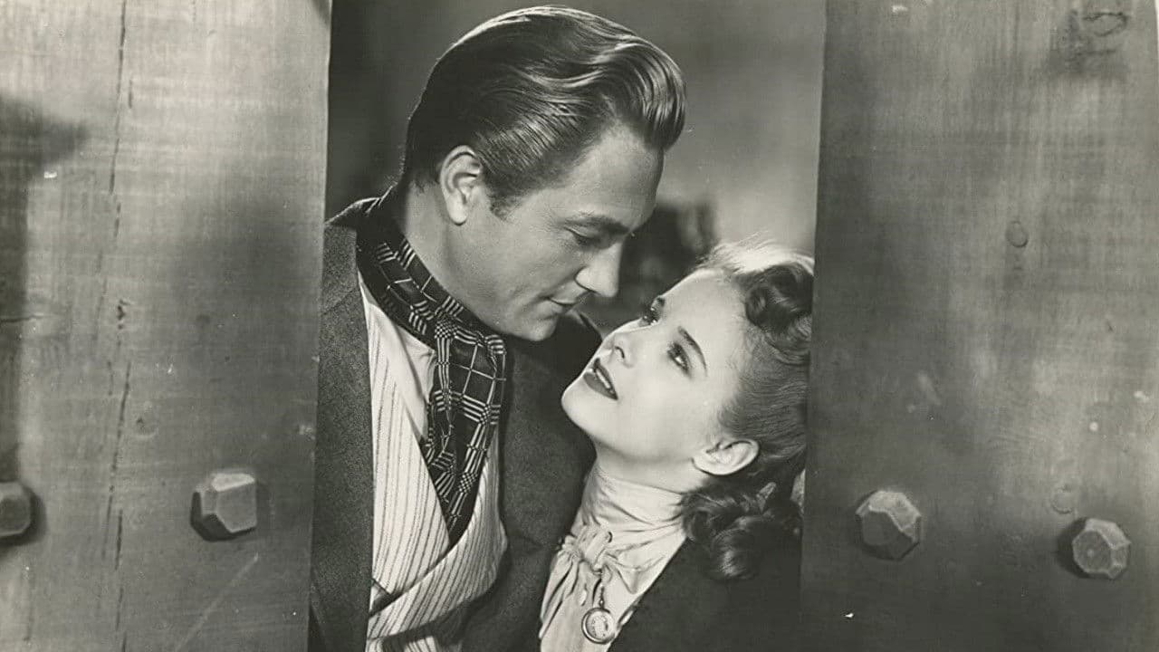 Black Beauty backdrop