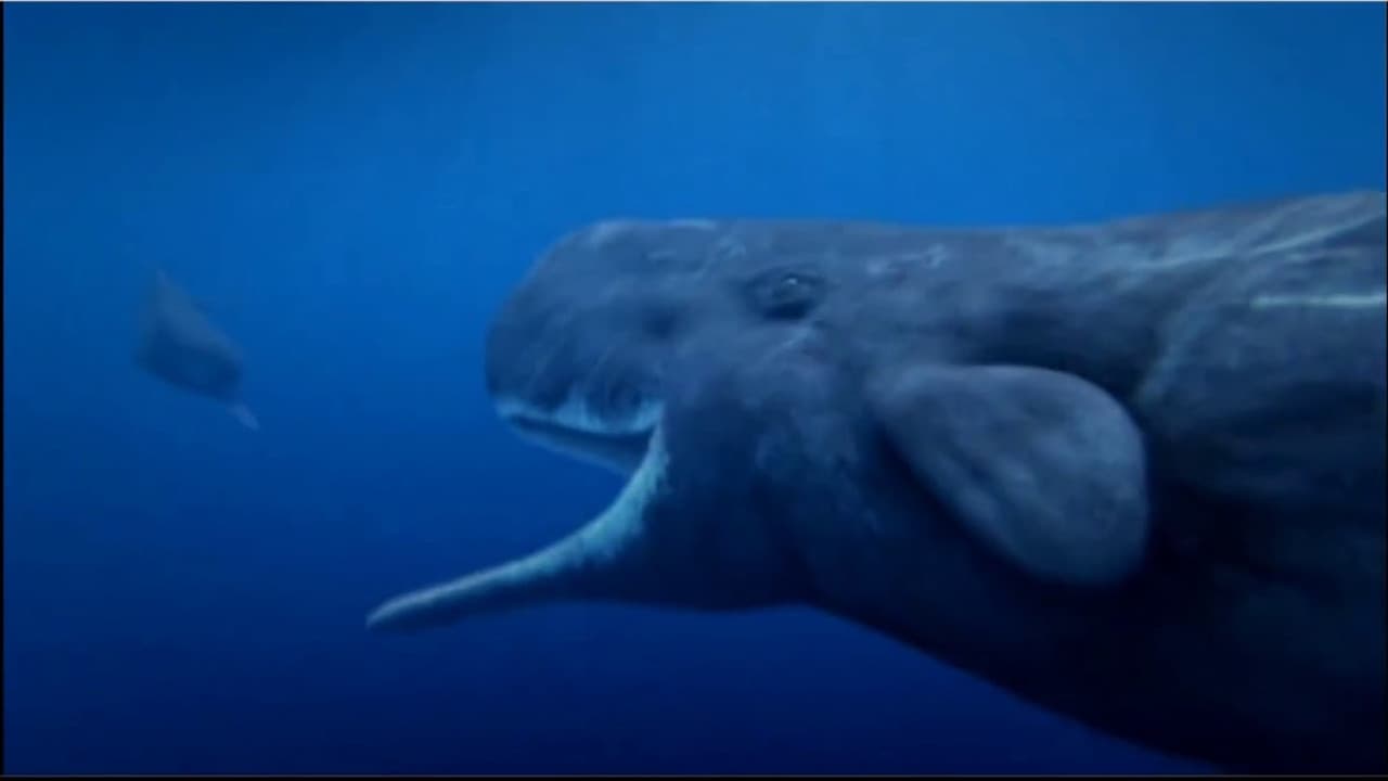 Ocean Odyssey backdrop