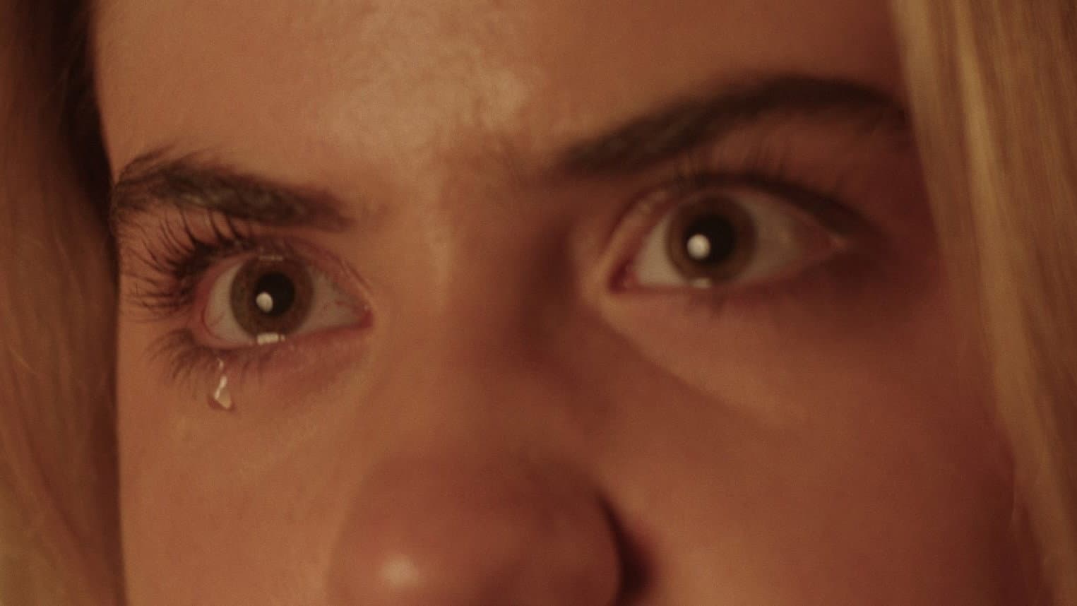 The Pilgrim's Ballad backdrop