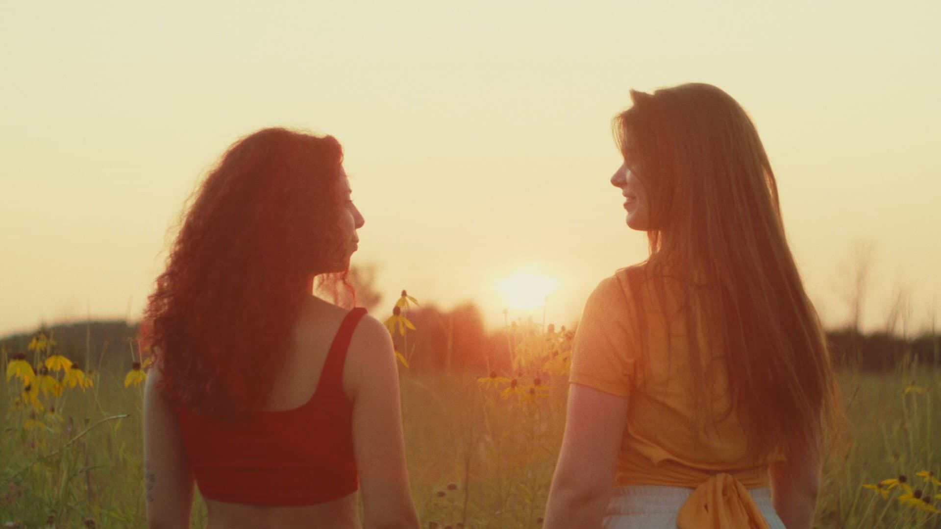 The Beauty of Letting Go backdrop