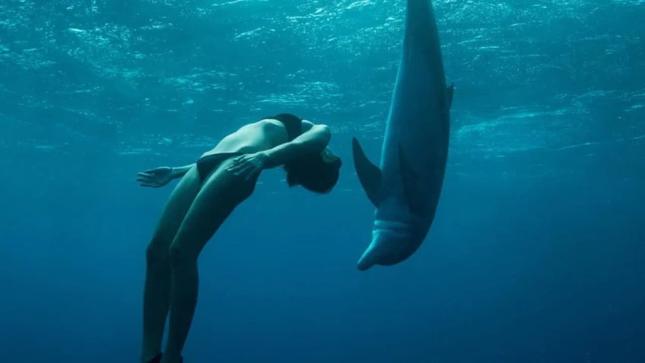 The Journey: Mother Ocean backdrop