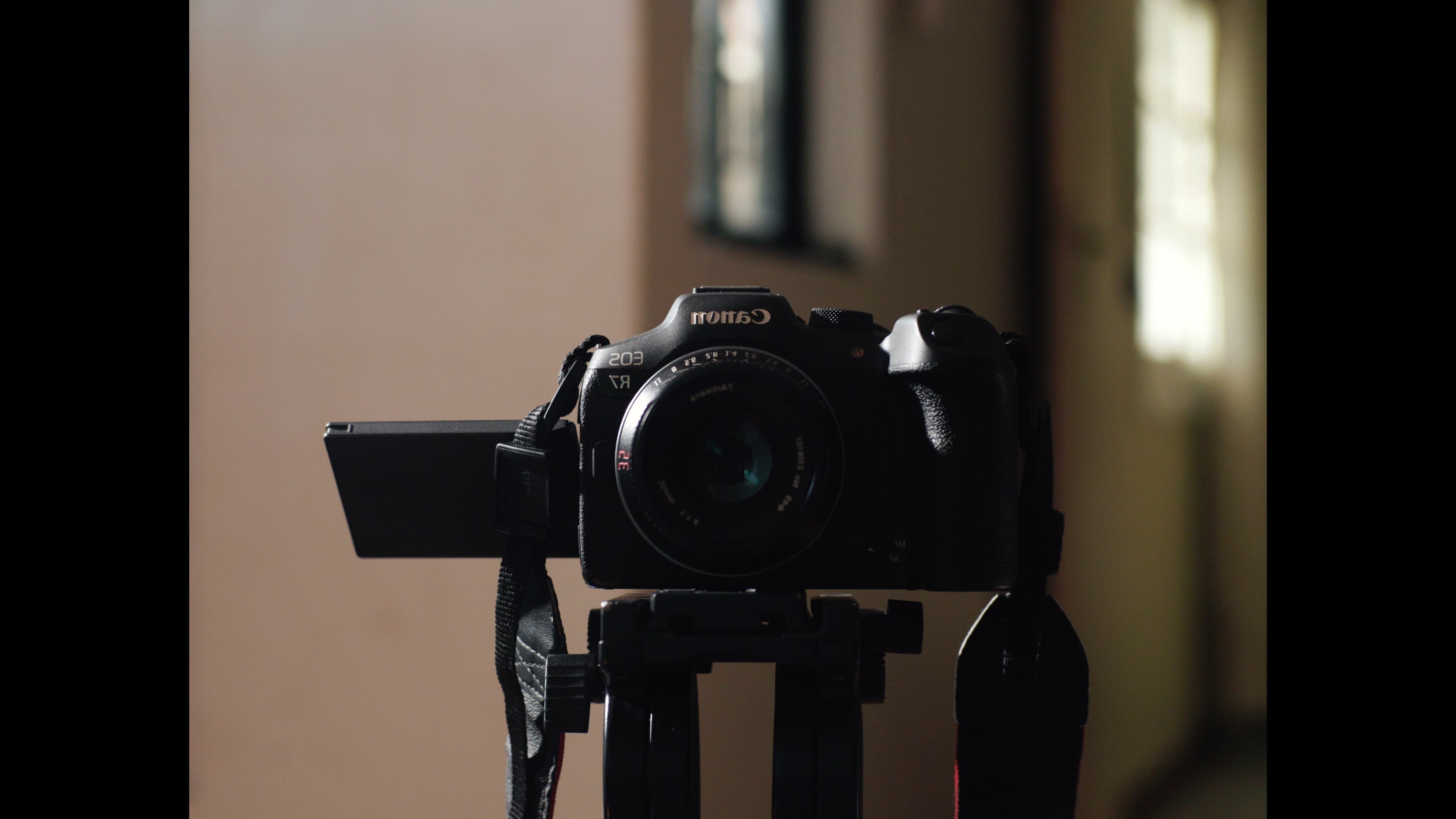 I Never Heard Their Beginnings backdrop